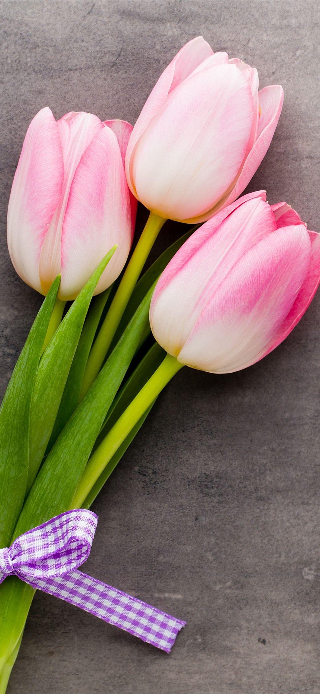 1125x2436 Three Pink Tulips, Bouquet, Gray Background 1125x2436 IPhone 11 Pro XS X Wallpaper, Background, Picture, Image