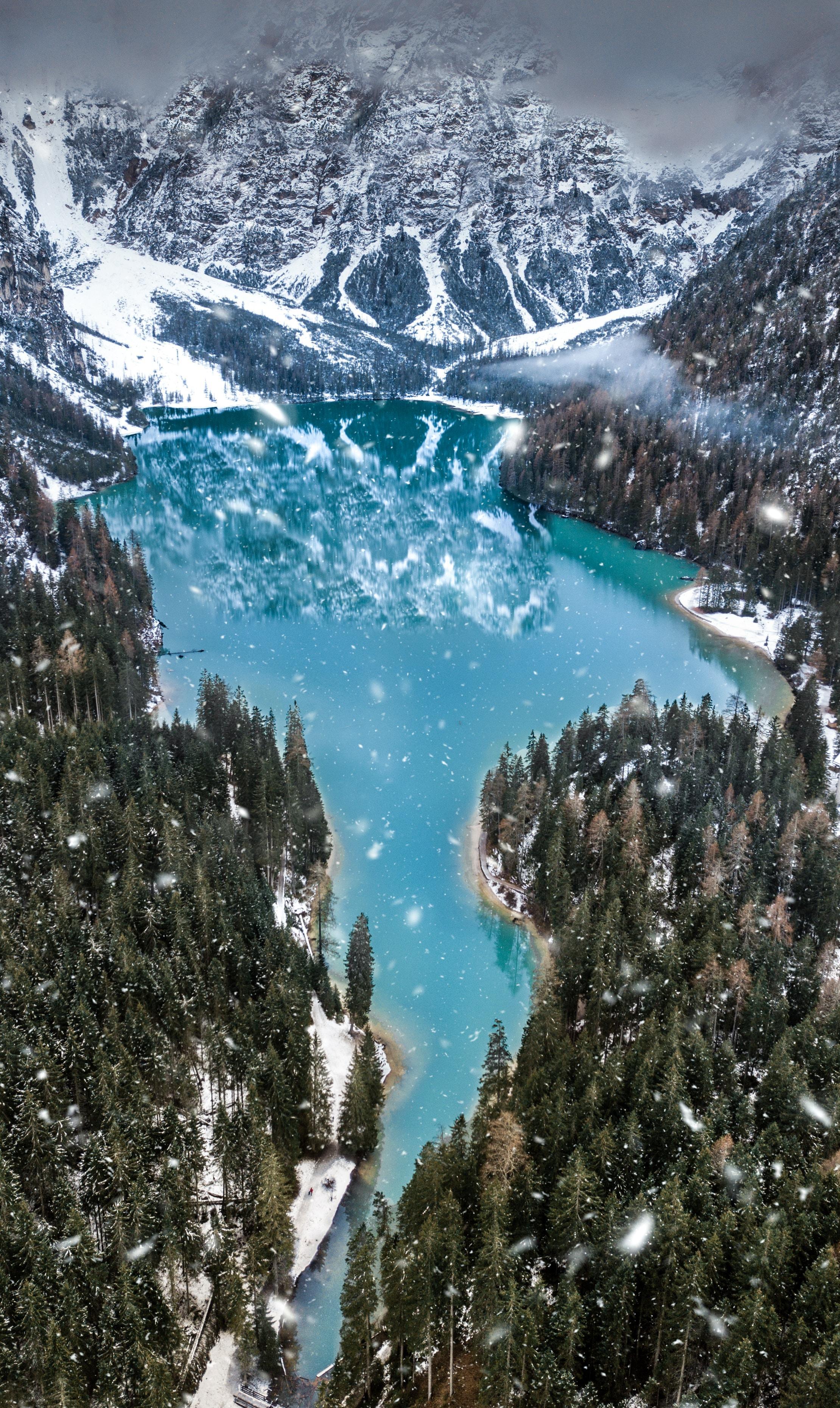 2220x3719 iPhone 11 HD 4k Forest Wallpaper