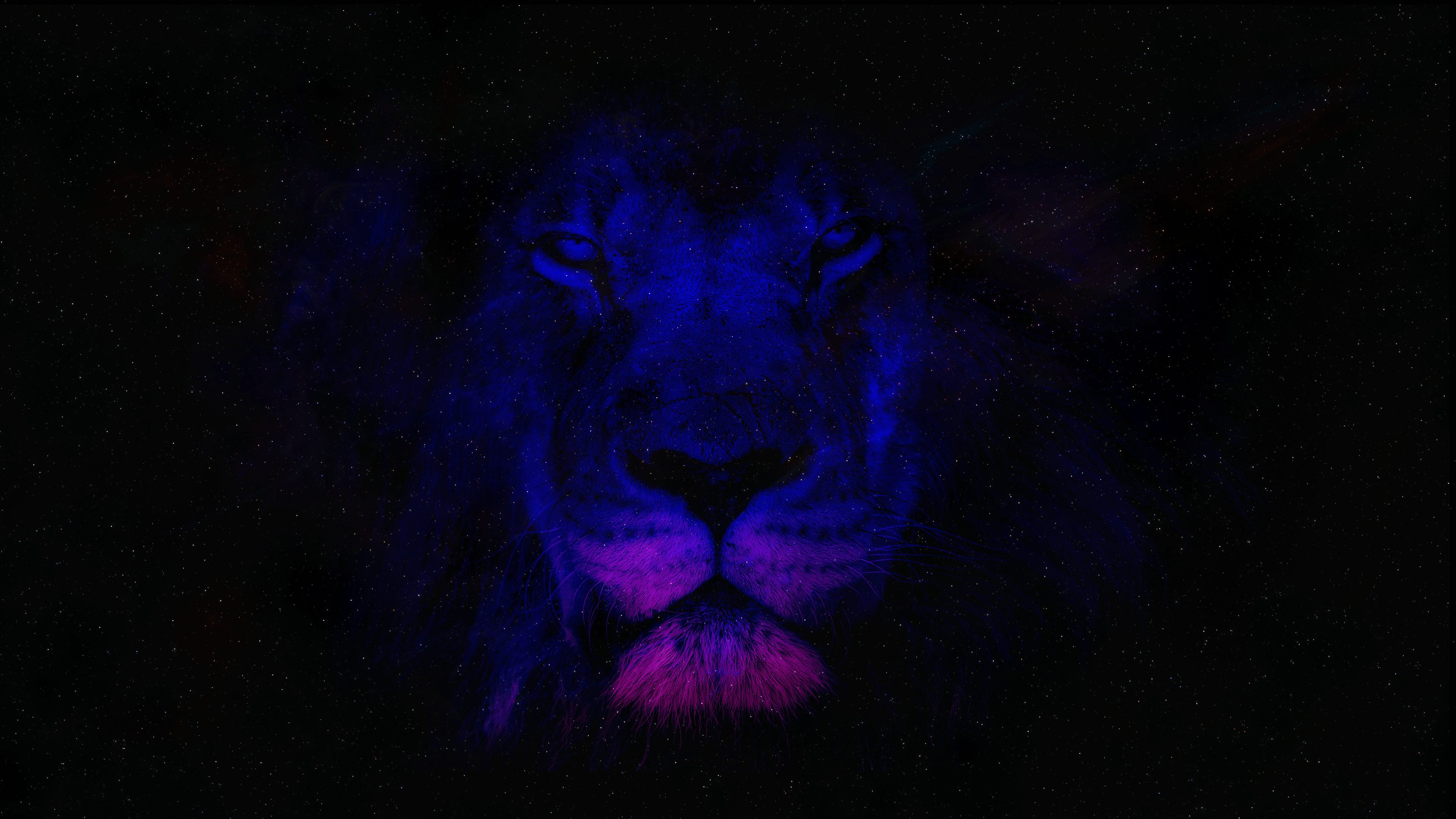 3840x2160 4k Wallpaper Lion
