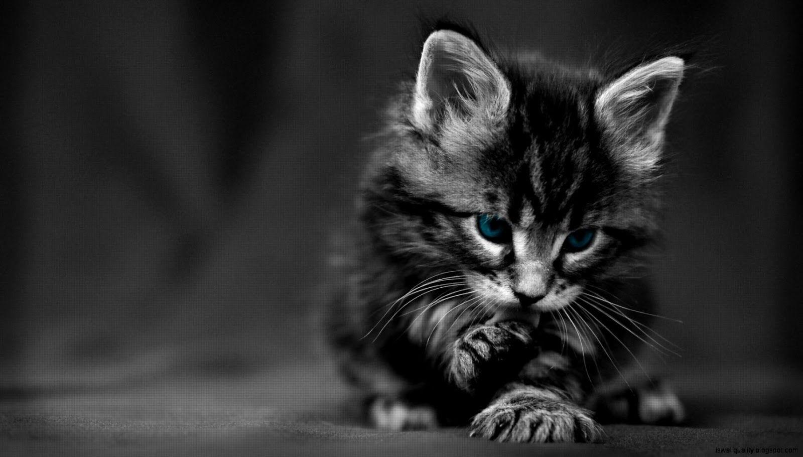 1600x910 Wallpaper HD 1080P Black And White Quotes
