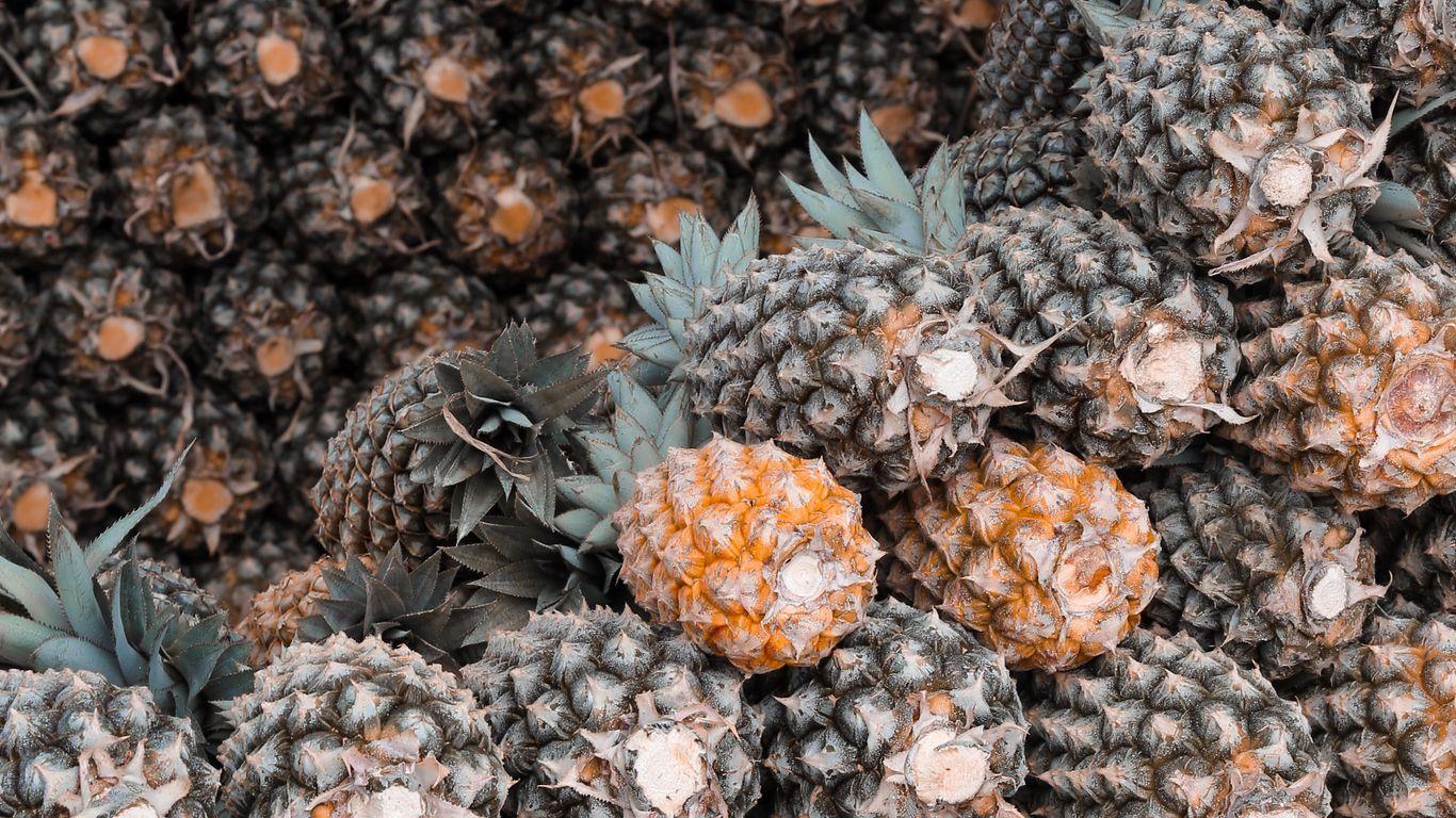 1366x768 Download wallpaper 1366x768 pineapples, tropical, fruit tablet, laptop HD background