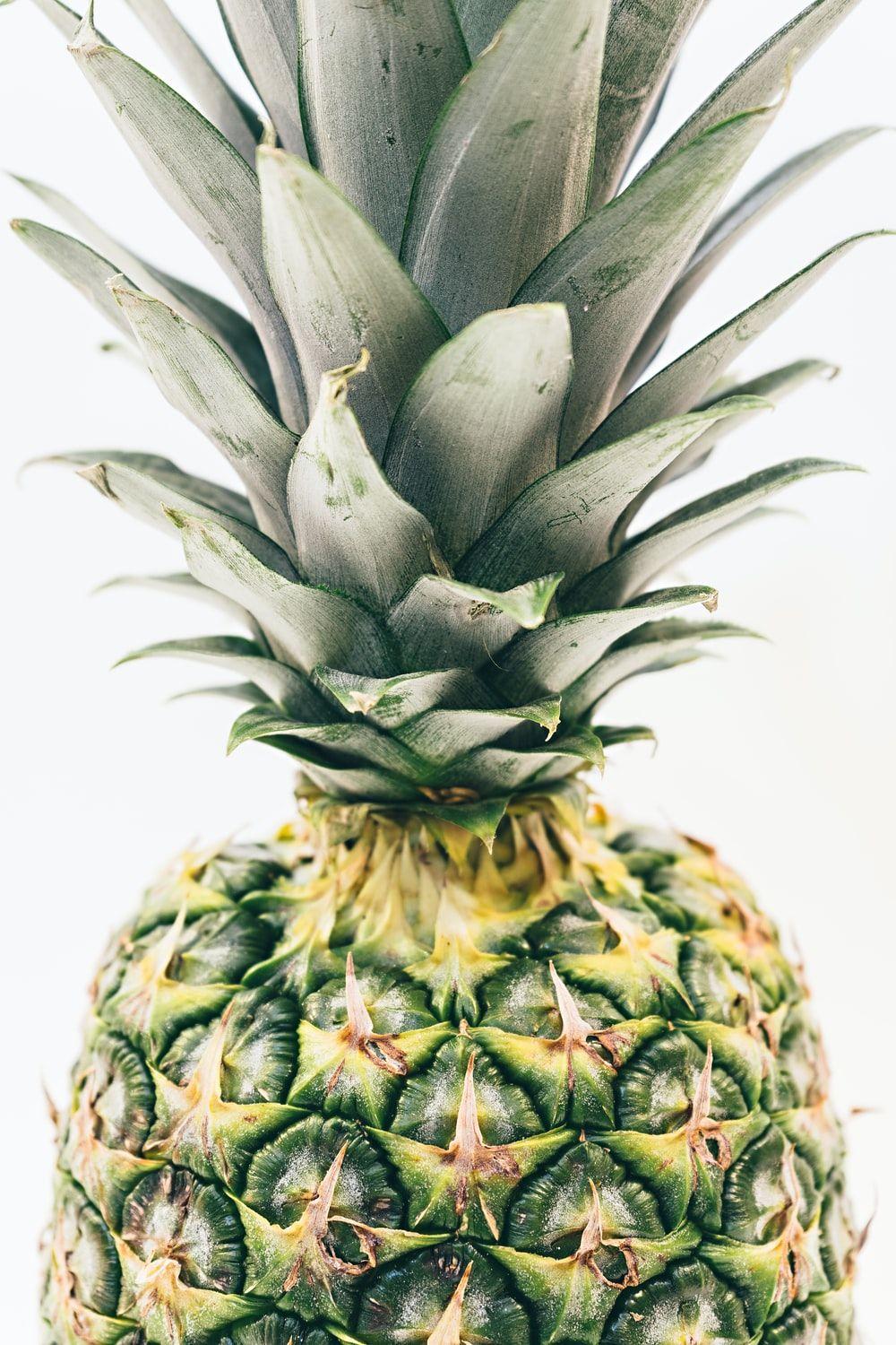 1000x1500 Tropical Fruit Picture. Download Free Image