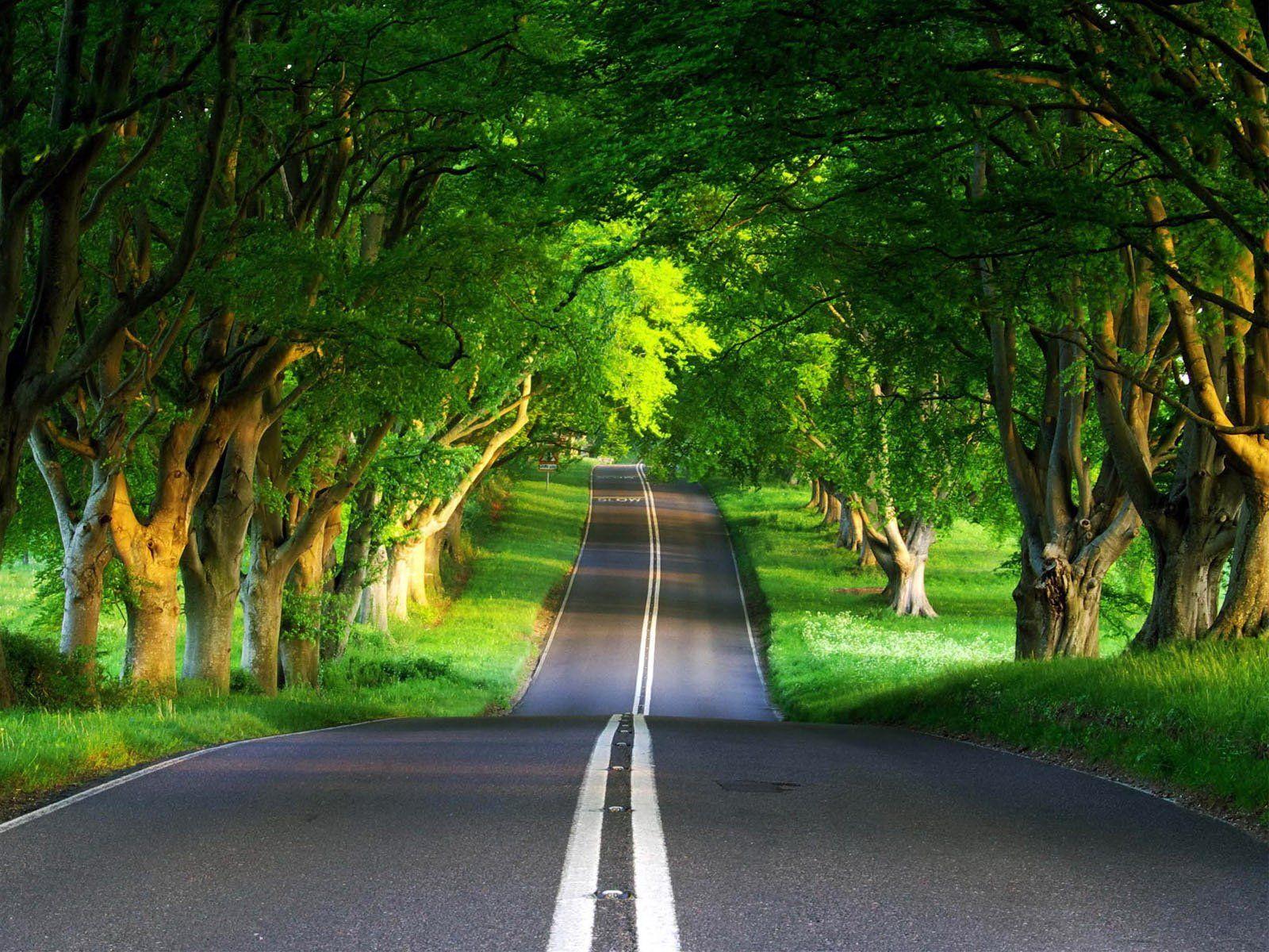 1600x1200 Best Scenery Wallpaper HD