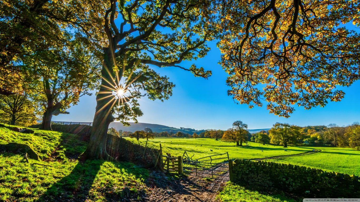 1366x768 Beautiful England Nature Countryside Scenery Ultra HD Desktop Background Wallpaper for 4K UHD TV : Widescreen & UltraWide Desktop & Laptop : Tablet