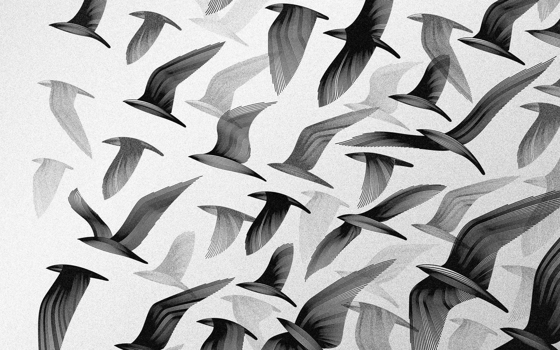 1920x1200 HD Black And White Background