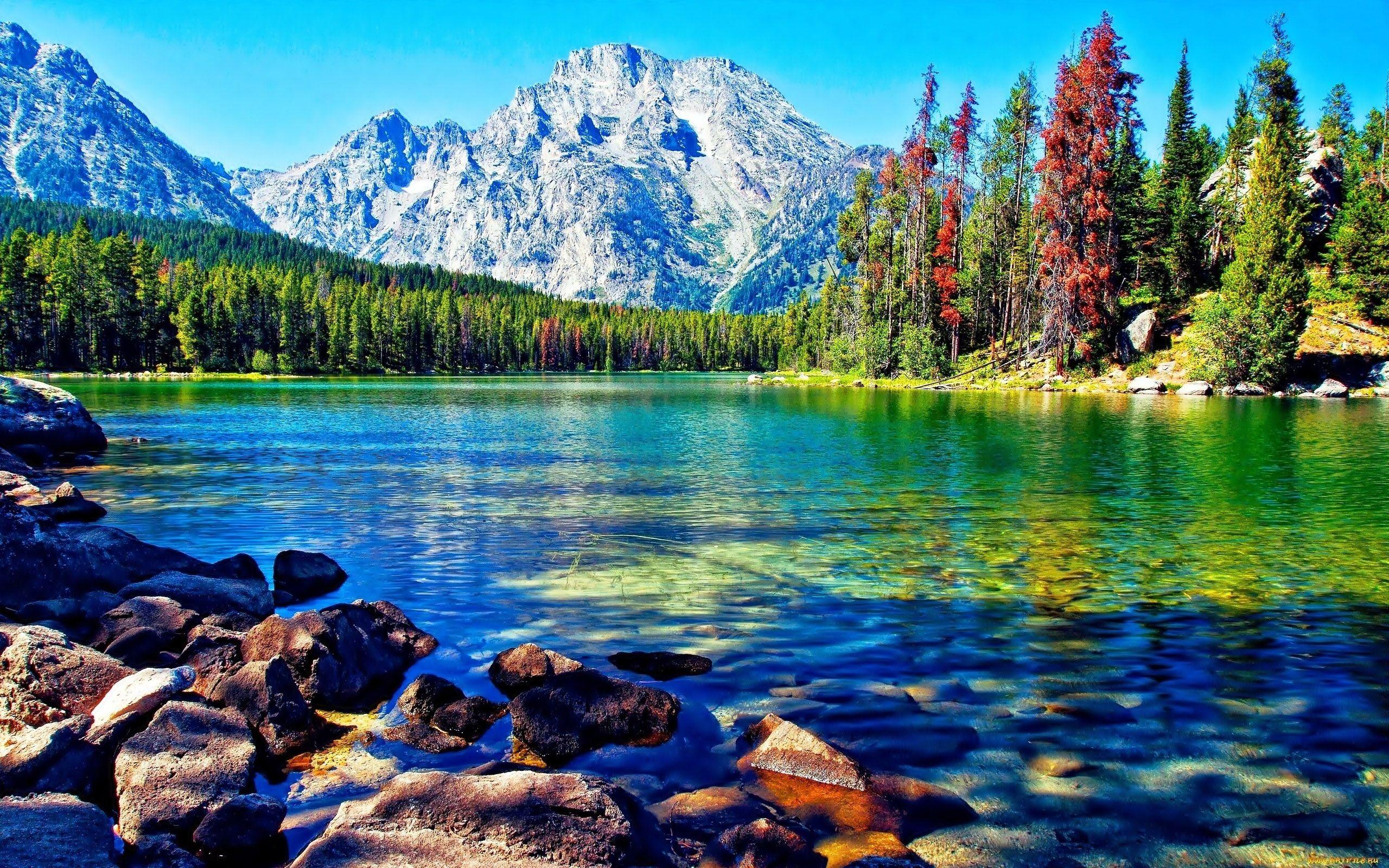 2560x1600 Beautiful Lake Mountain Forest Desktop Wallpaper :