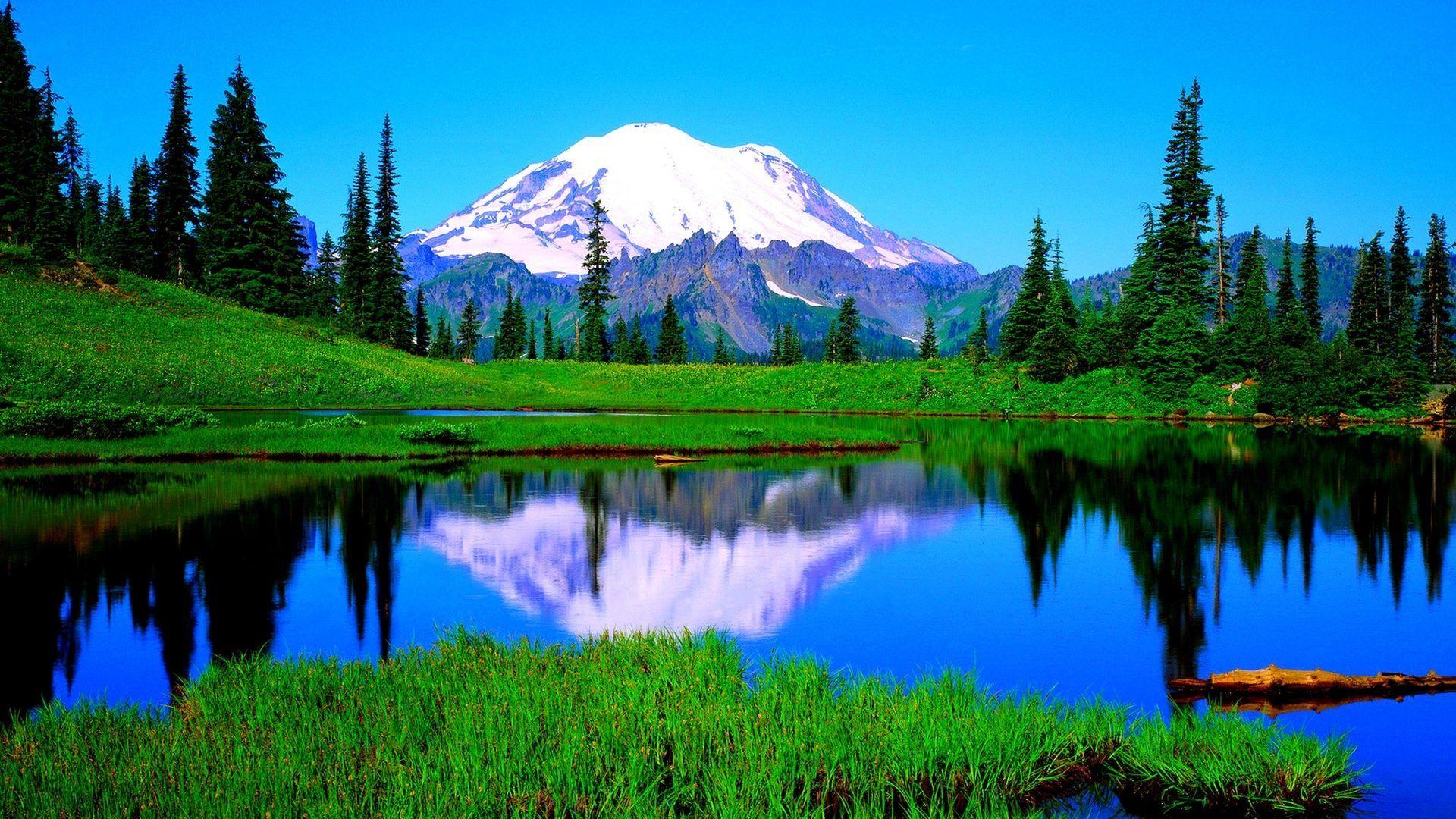 1920x1080 Beautiful Forest Lake Wetland HD Desktop Wallpaper Rainier National Park, Sunrise Lake Wallpaper & Background Download