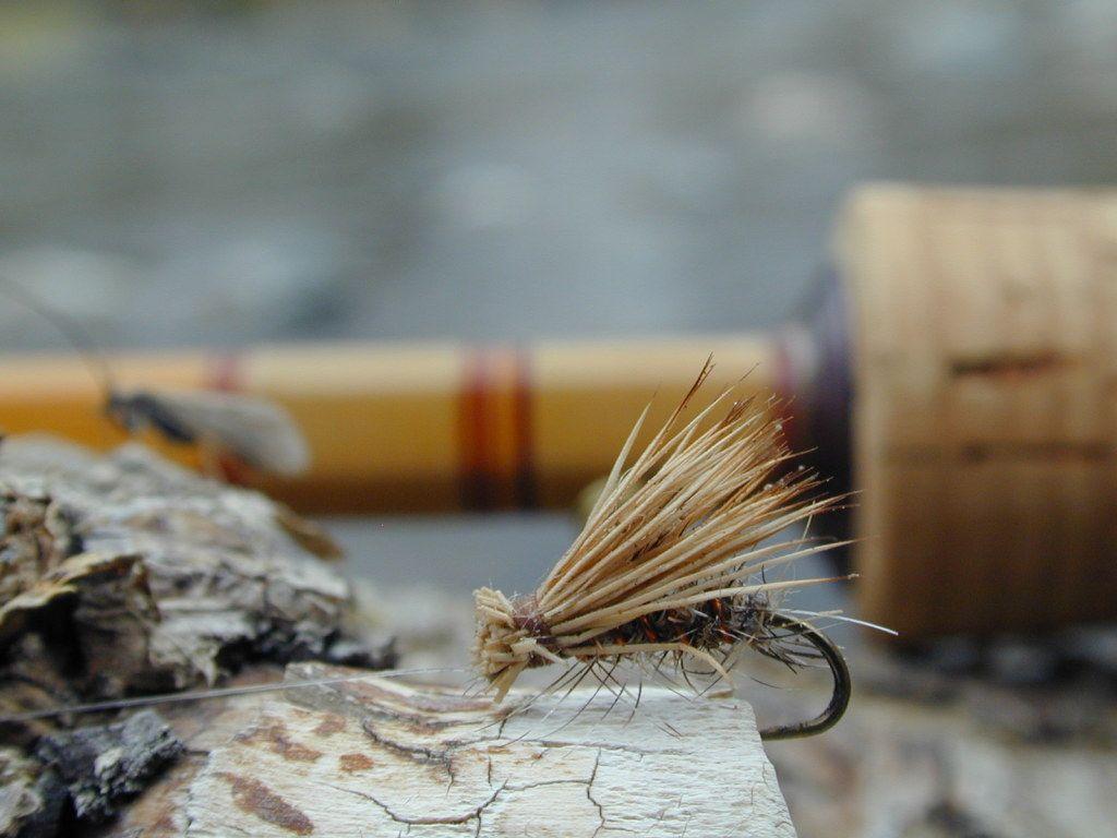 1024x768 Fly Tying Background. Beautiful Butterfly Wallpaper, Pretty Butterfly Wallpaper and Steampunk Dragonfly Wallpaper