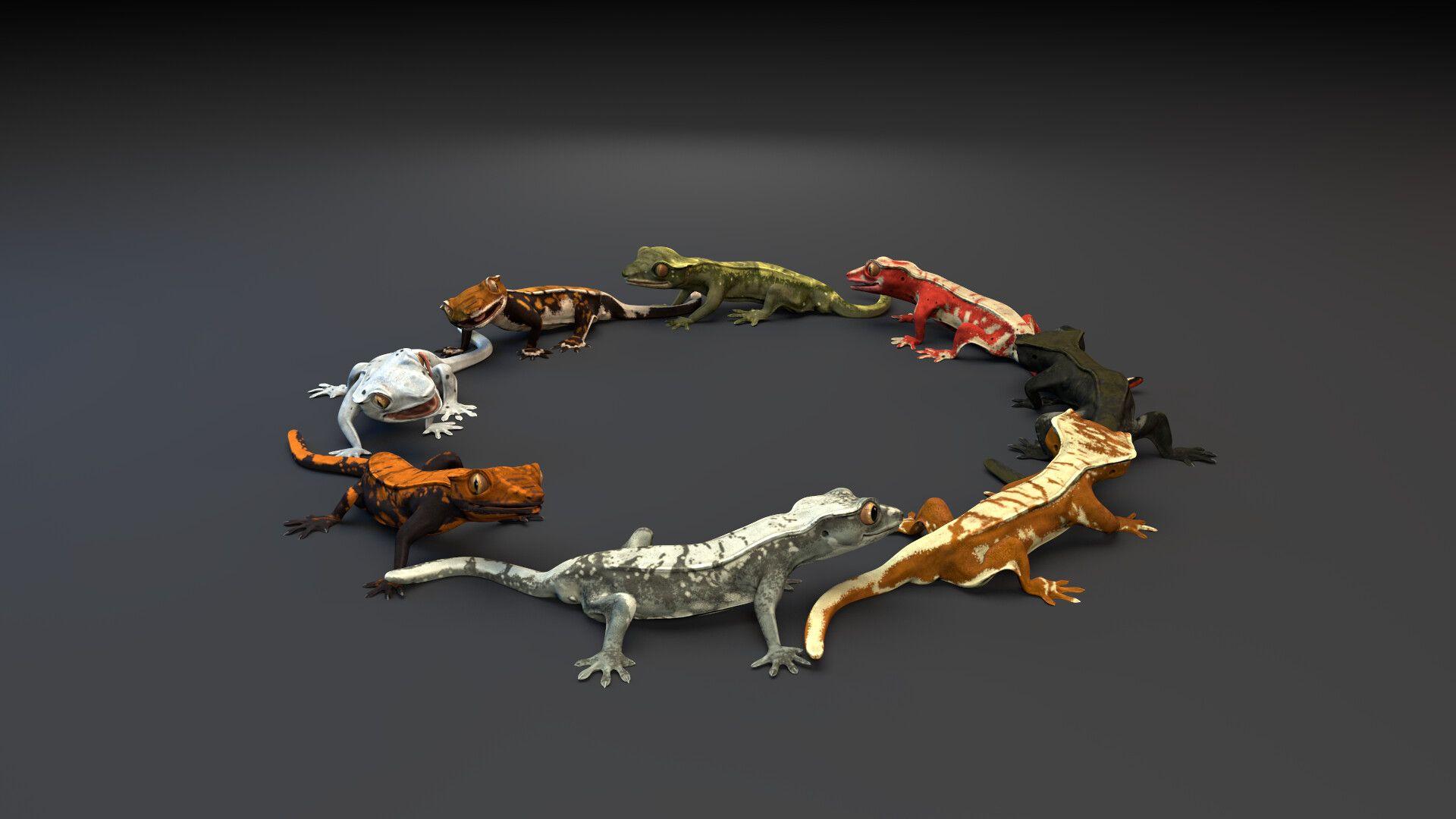 1920x1080 Crested Gecko, Katja Mudragelja