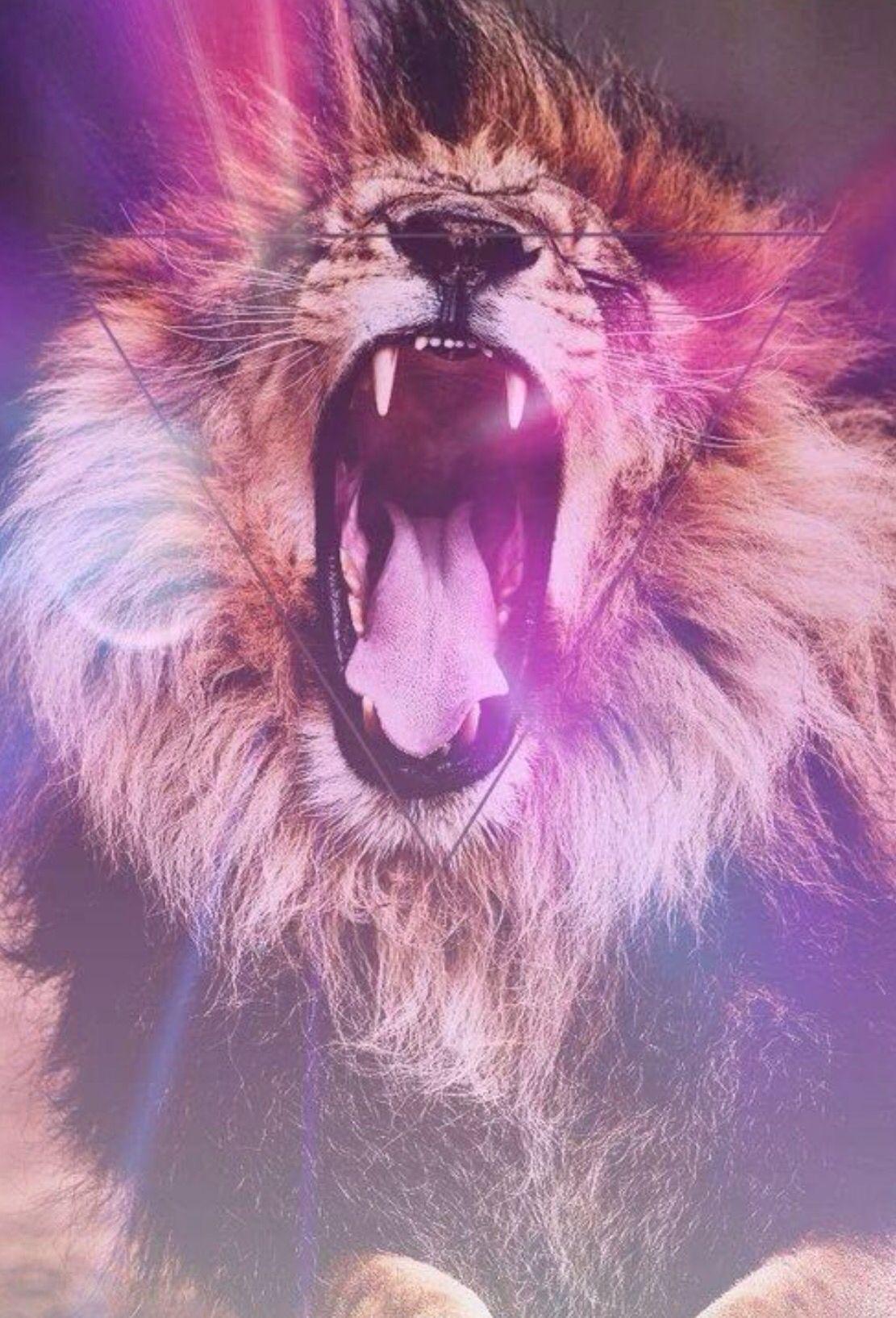 lion tumblr background