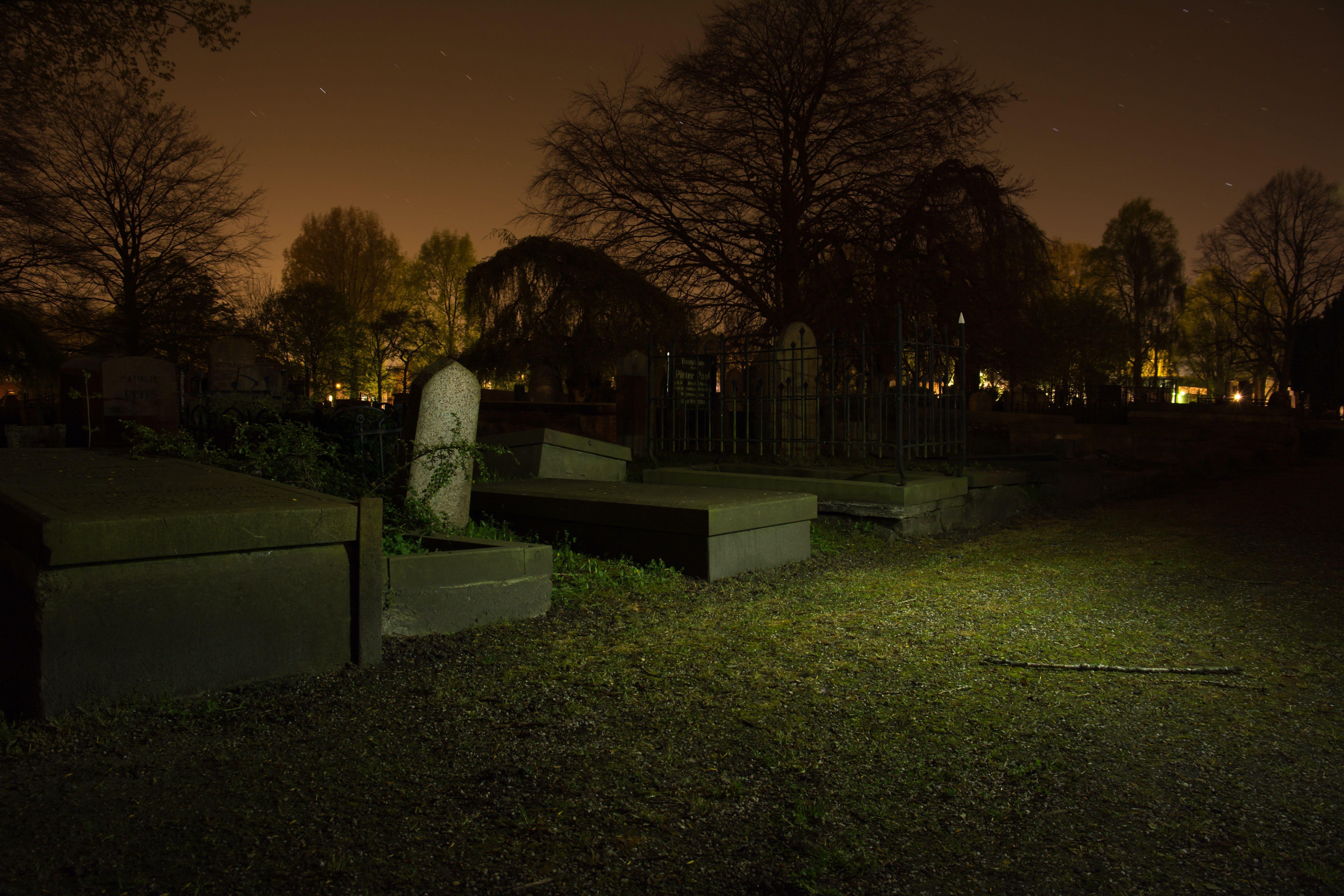 6000x4000 Cemetery at Night · Free