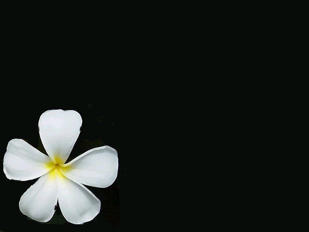 1024x768 Simple Wallpaper