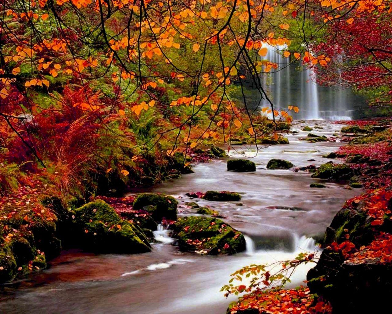 1280x1024 Free download Fall Nature Desktop Wallpaper Top Fall Nature Desktop [1920x1080] for your Desktop, Mobile & Tablet. Explore Autumn Wallpaper For Desktop. Thanksgiving Desktop Wallpaper, Download Free Wallpaper and