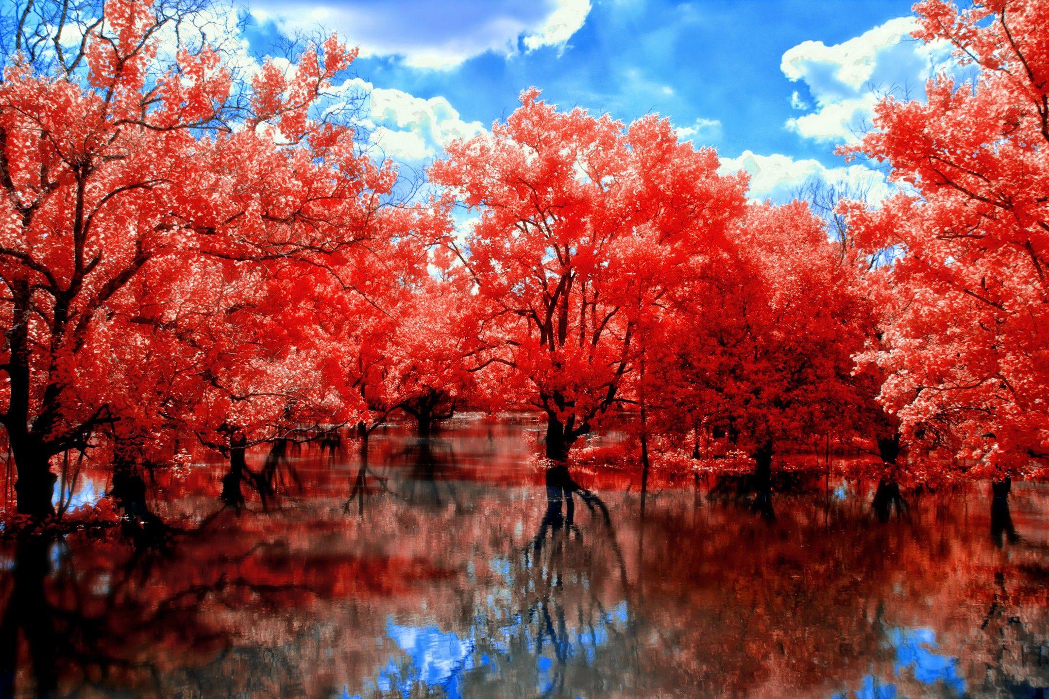2160x1440 Autumn Nature Desktop Background .