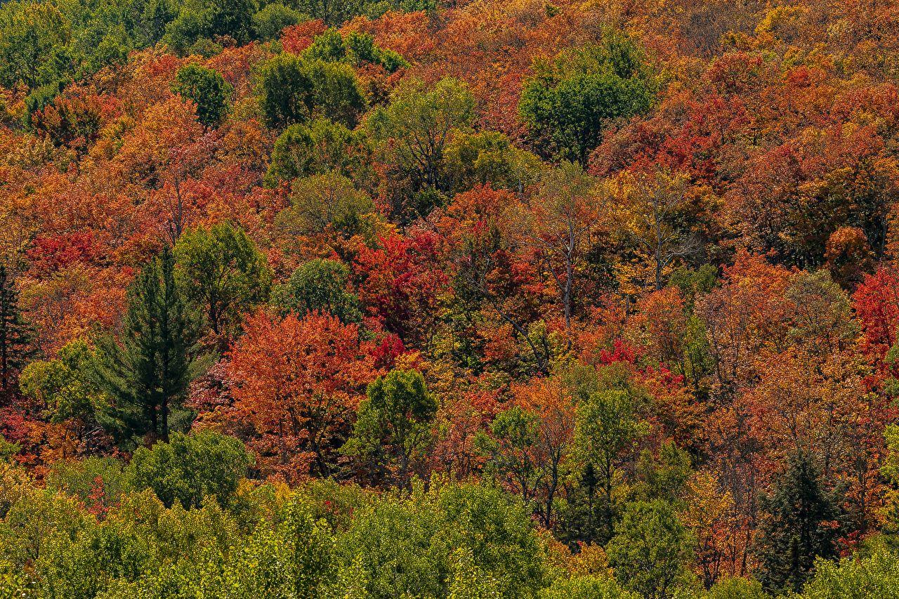 1280x853 Desktop Wallpaper Canada Algonquin Park, Ontario Autumn Nature