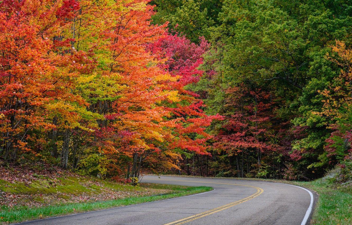 1332x850 Wallpaper road, autumn, leaves, trees, Park, road, landscape, nature, autumn, leaves, tree image for desktop, section пейзажи