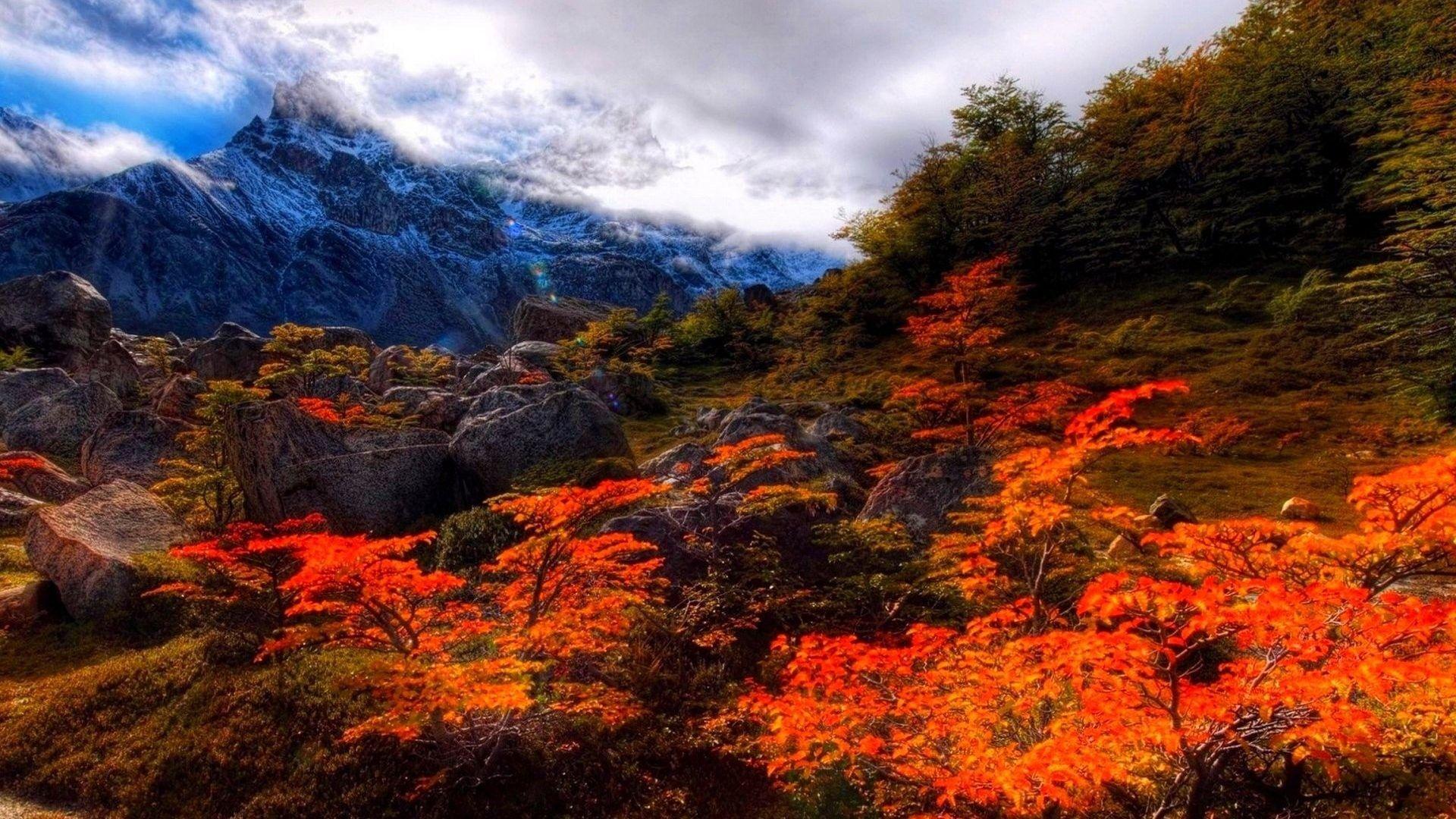 1920x1080 Desktop Wallpaper Fall Scenes