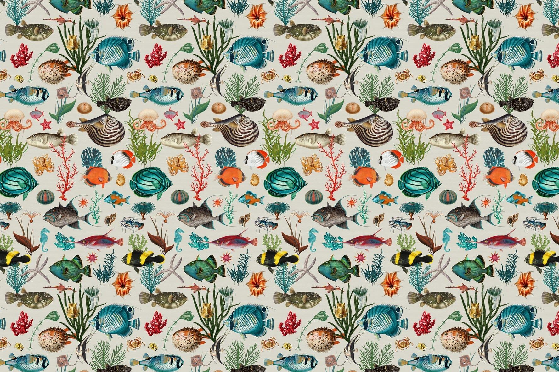 1776x1184 Buy Oceania in greige wallpaper US shipping at