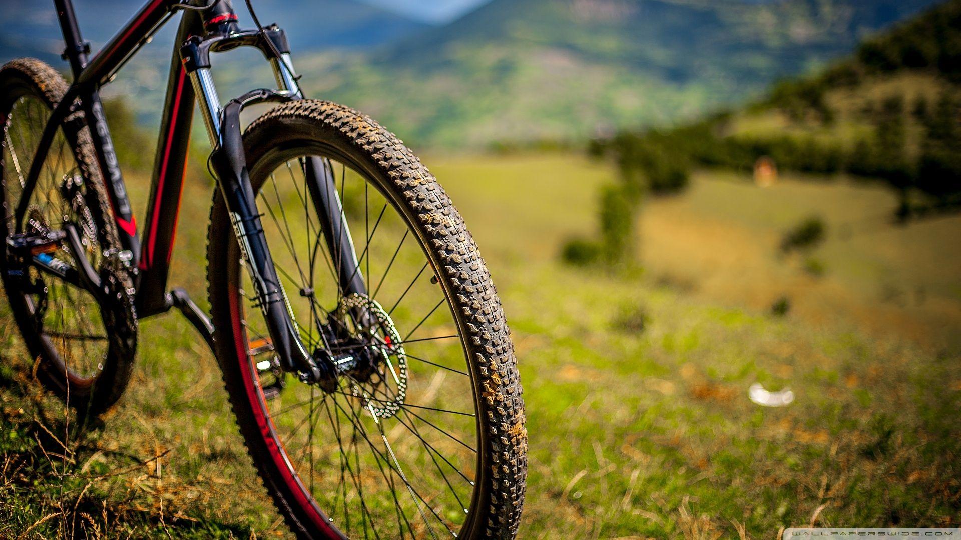 4K Mountain Bike Wallpapers - Top Free 4K Mountain Bike Backgrounds ...