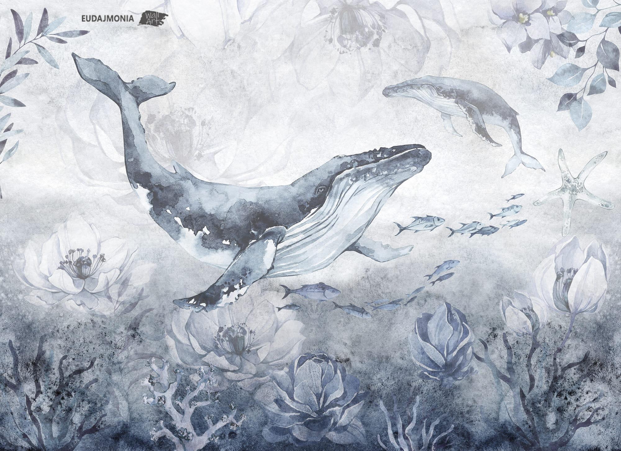 2000x1454 Wallpaper OCEANIA WHALE Eudajmonia WallArt