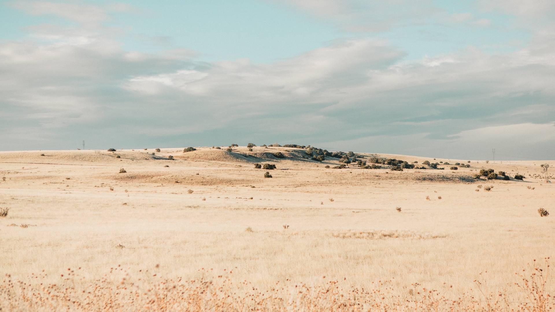 1920x1080 field, drought, grass 1680x1050 Resolution Wallpaper, HD Nature 4K Wallpaper, Image, Photo and Background