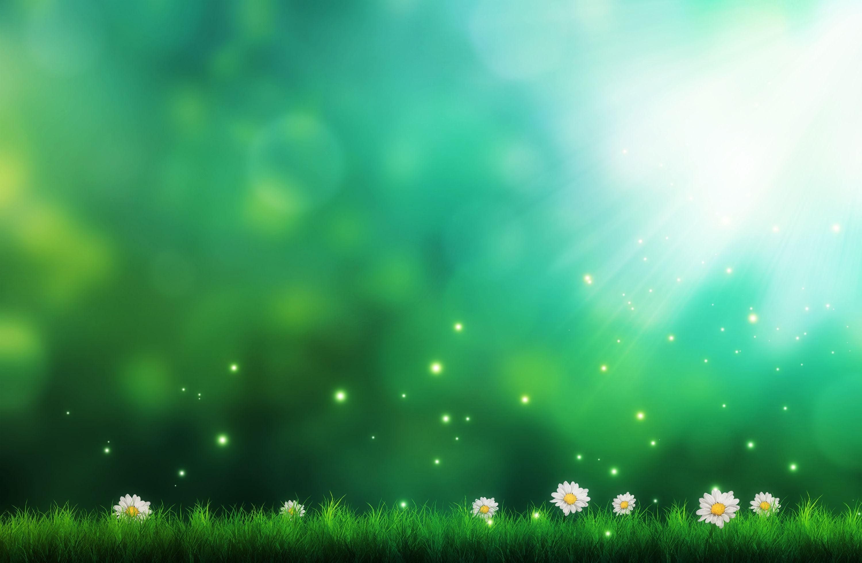 3000x1962 Blur Background HD