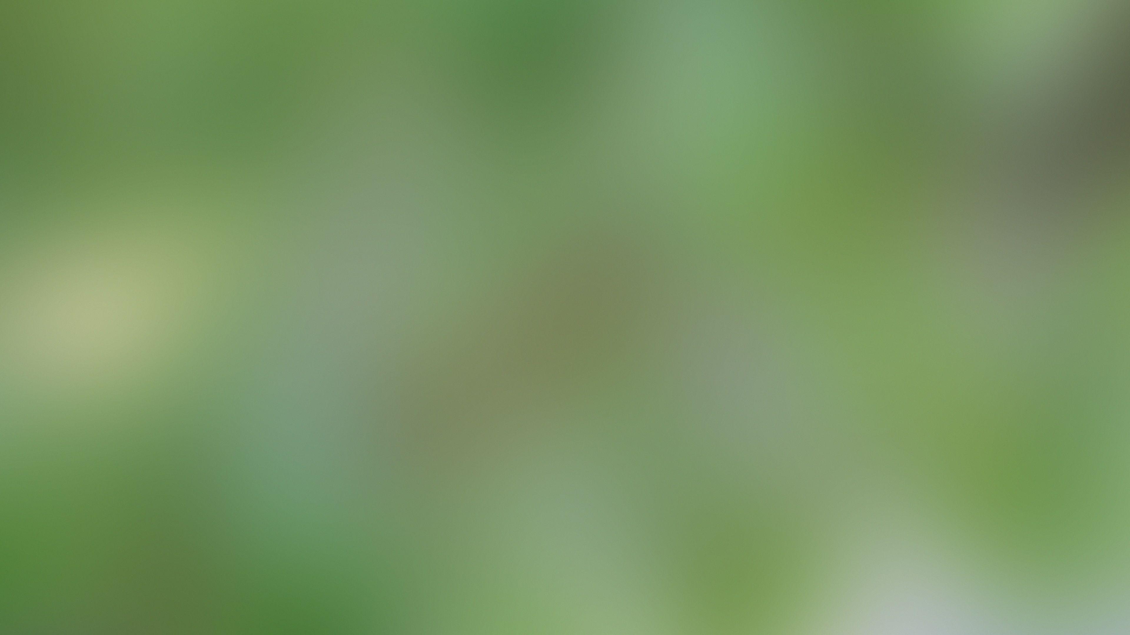 3840x2160 4K Green Blurred Background Wallpaper 40832