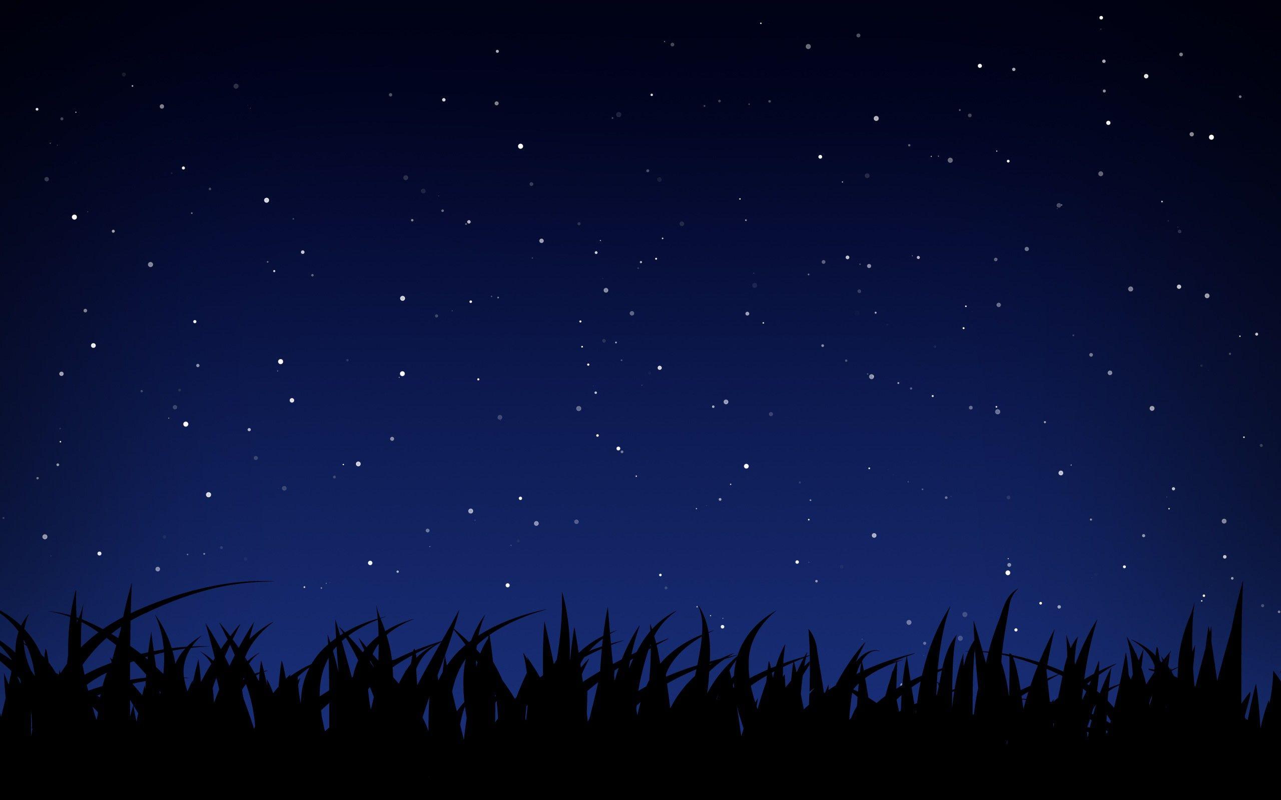 2560x1600 Anime Night Sky Wallpaper