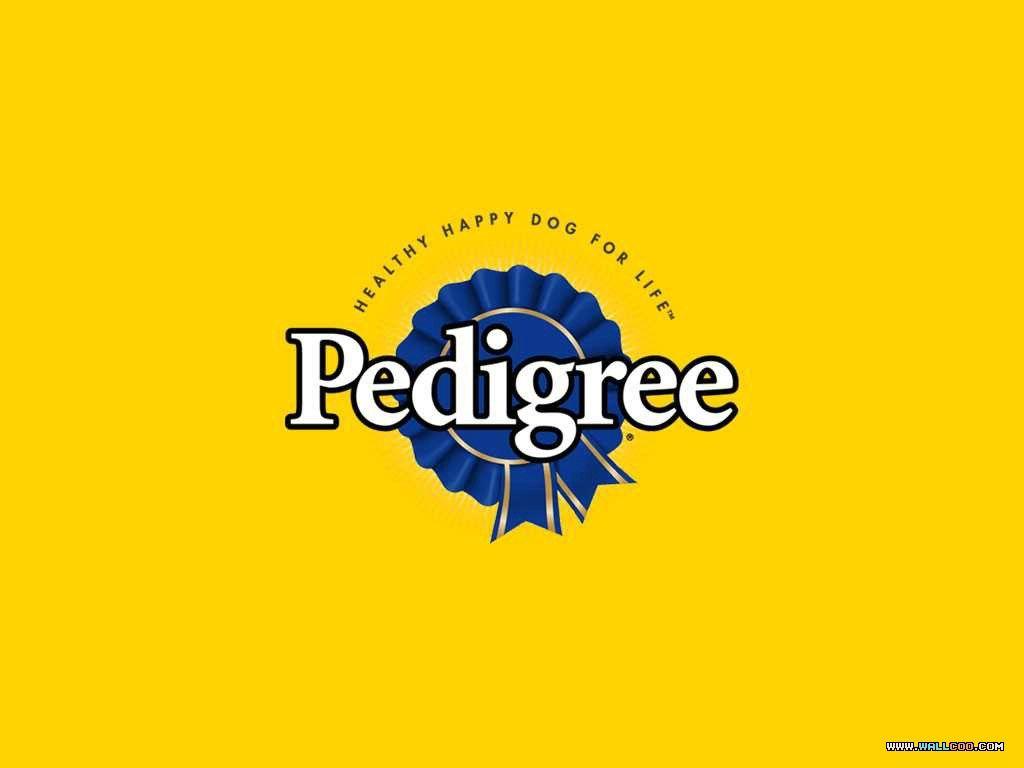 1024x768 Lovely Puppies on Pedigree Dry Dog Food Ads 1024x768 NO.19 Desktop Wallpaper