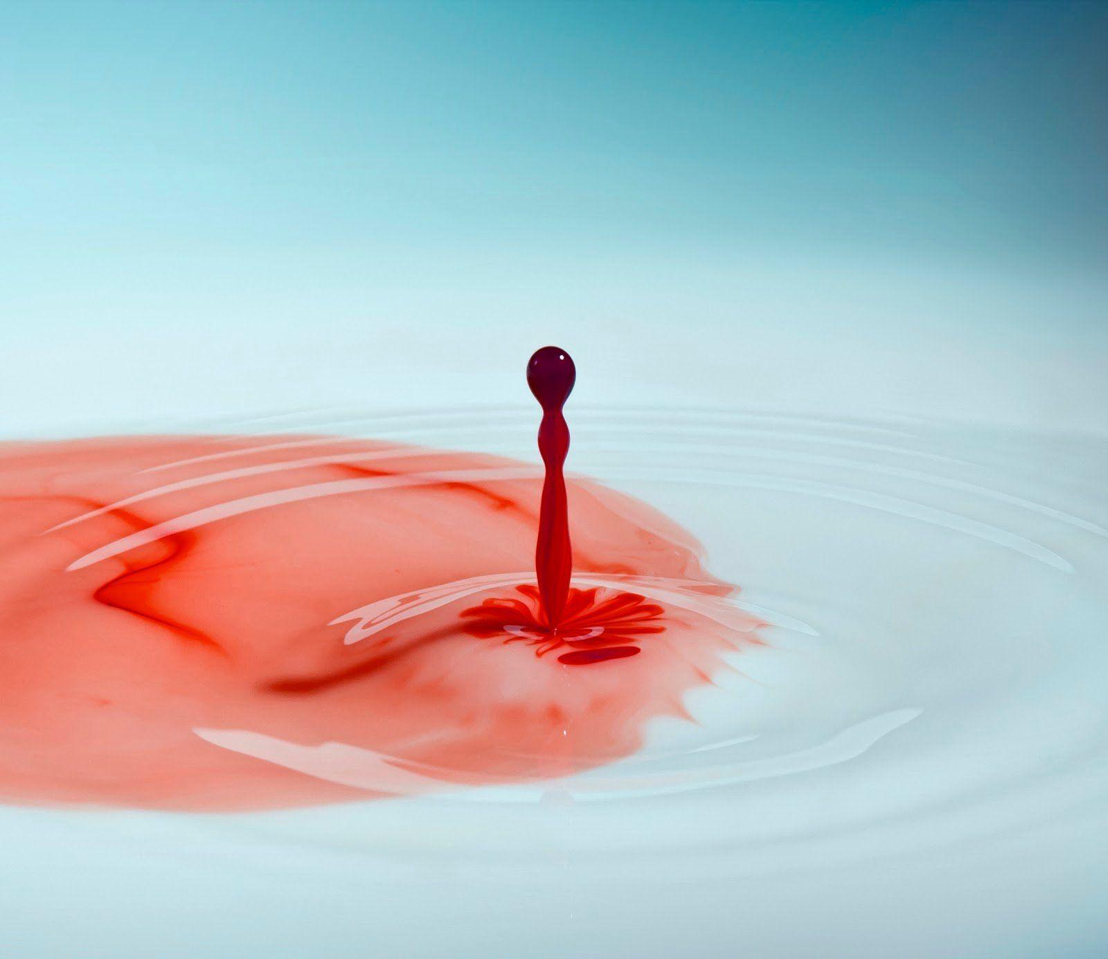 1600x1385 Free download Search of Wisdom Ruminations of The Sage To The Last Drop Of Blood [1600x1385] for your Desktop, Mobile & Tablet. Explore Blood Drop Wallpaper. Water Drop Wallpaper