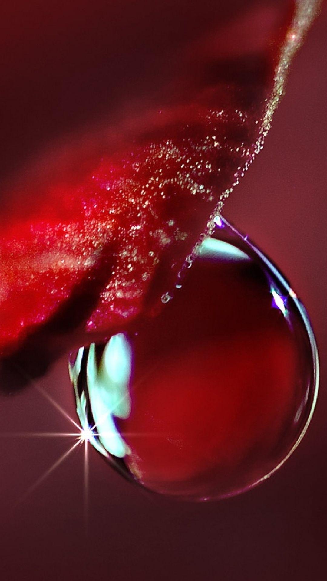 1080x1920 Flower red droplet water iPhone 8 wallpaper. Shades of red, Water drops, Macro photography