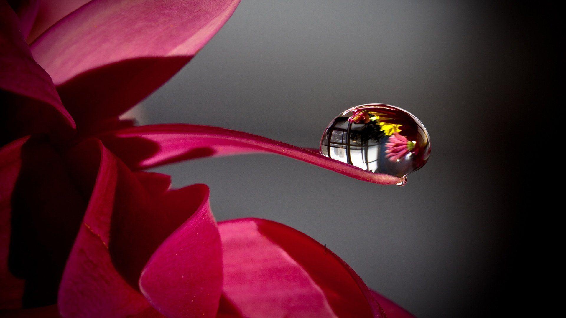 1920x1080 Water Drop HD wallpaper