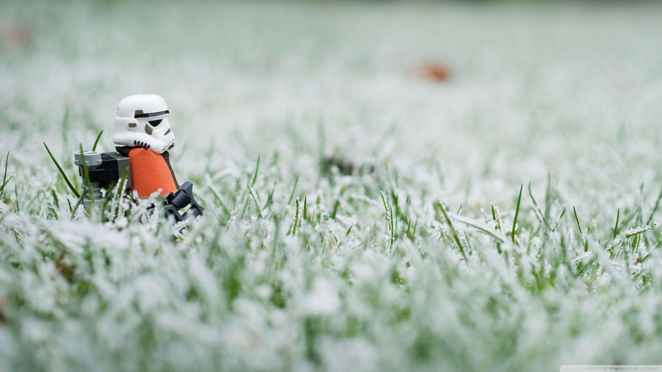 2560x1440 Free download Lego Stormtrooper Wallpaper 5 [2560x1440] for your Desktop, Mobile & Tablet. Explore Lego Stormtrooper Wallpaper. Lego Stormtrooper Wallpaper, Stormtrooper Wallpaper, Lego Wallpaper