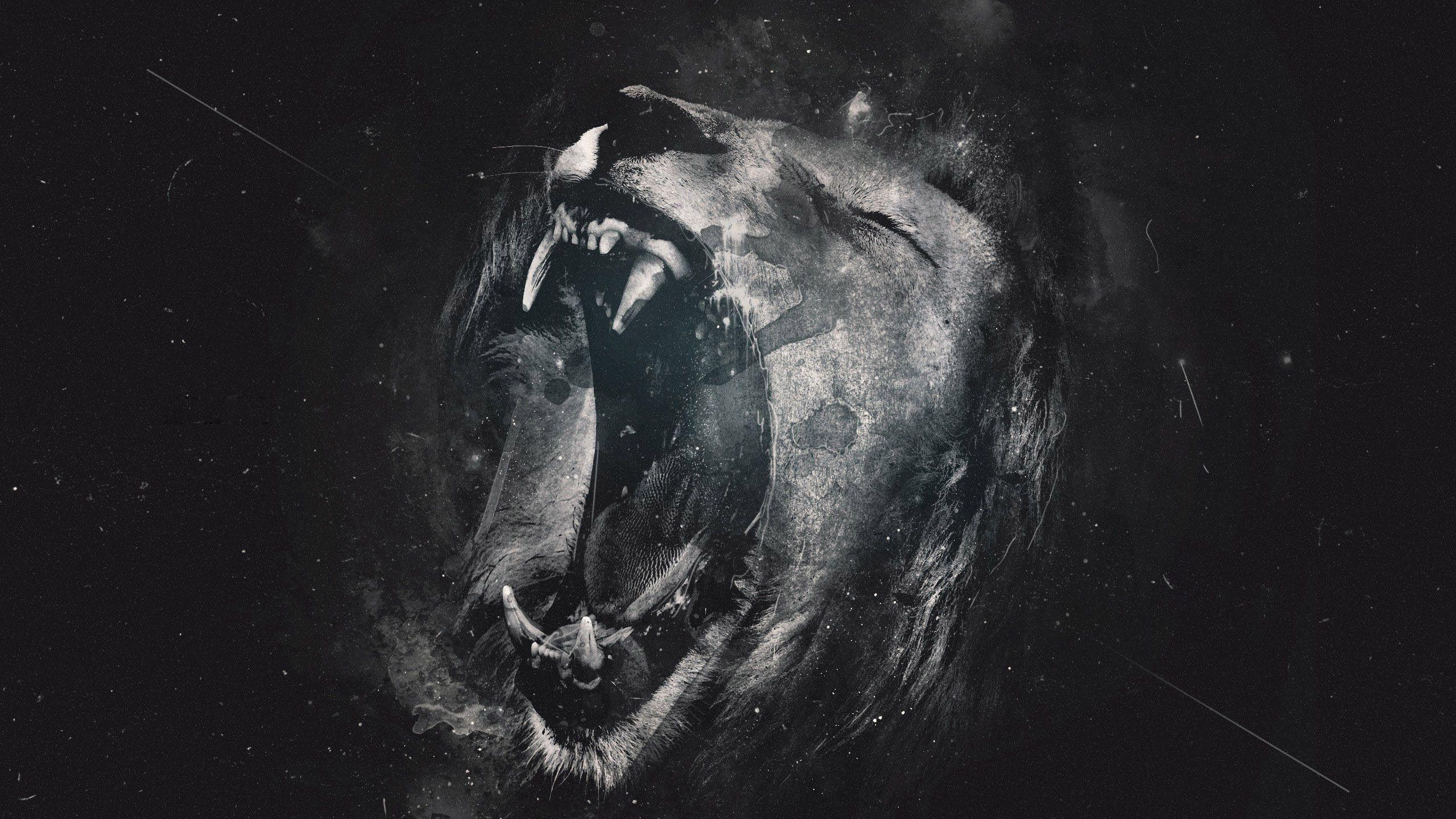 2560x1440 Roaring Lion Wallpaper. Background. Photo. Image