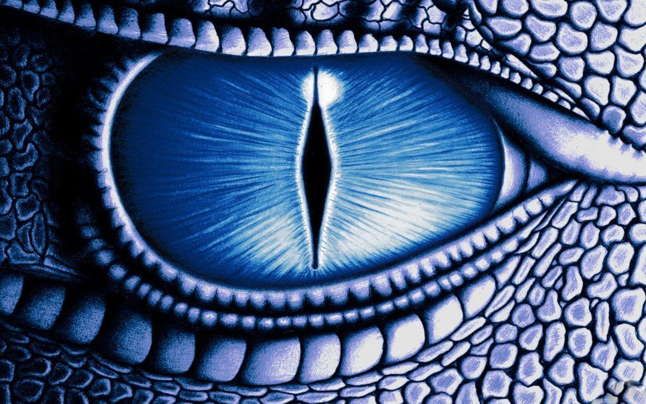 1280x800 Blue Dragon Wallpaper 3065 Desktop Wallpaper