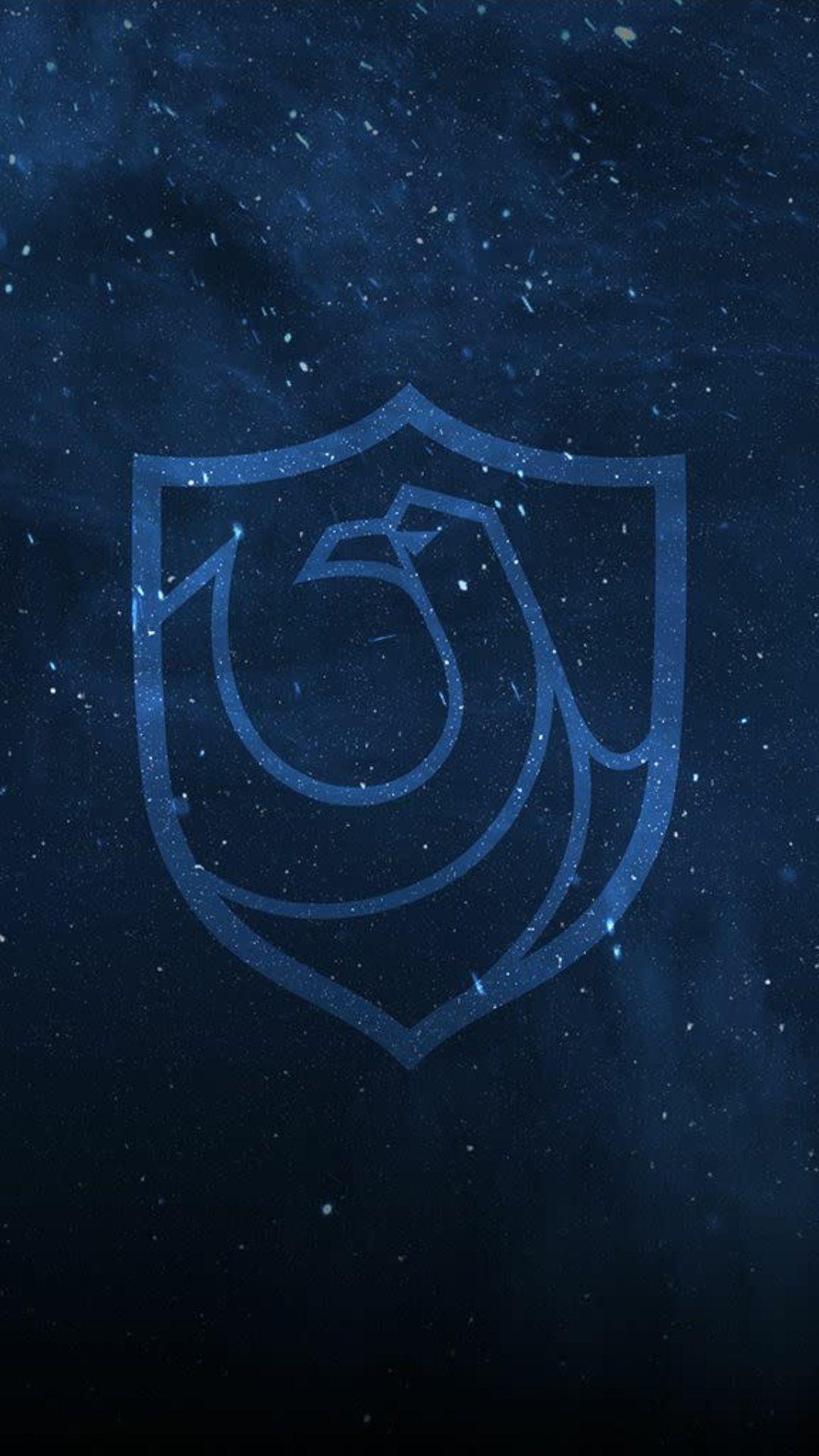 1080x1920 Ravenclaw. Harry potter wallpaper, Harry potter wall, Harry potter background