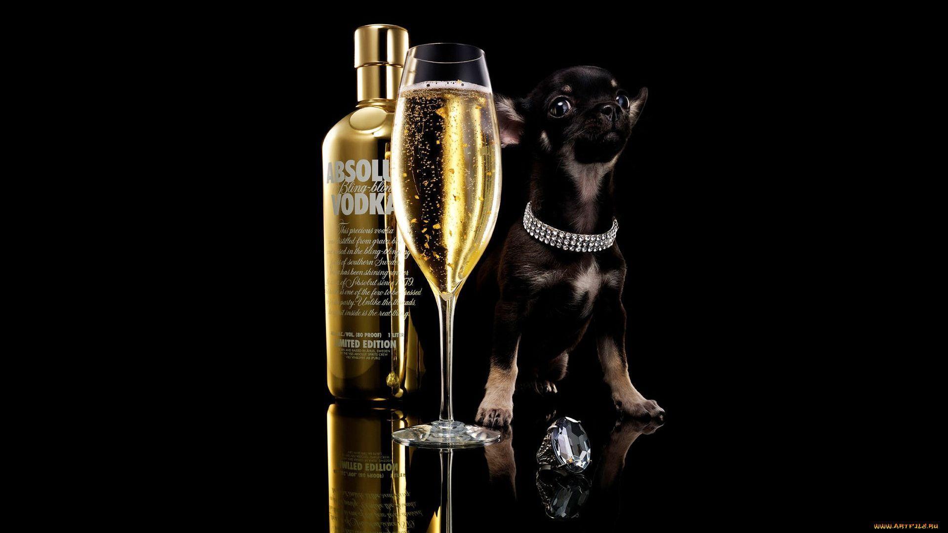 1920x1080 Absolut Vodka Wallpaper