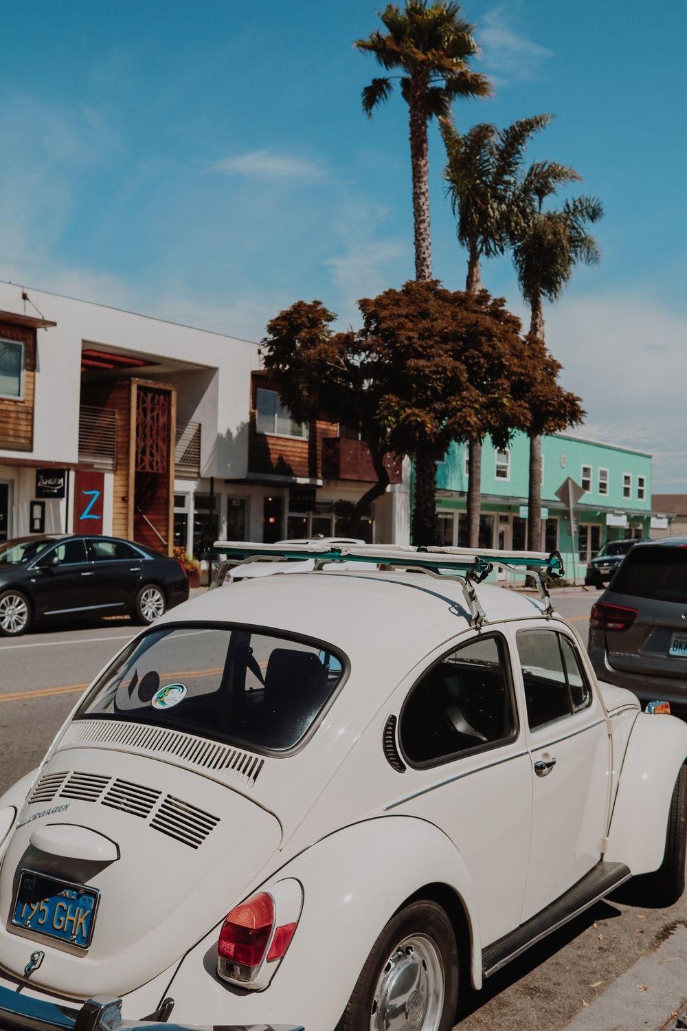 1000x1500 Vw Bug Picture [HD]. Download .com