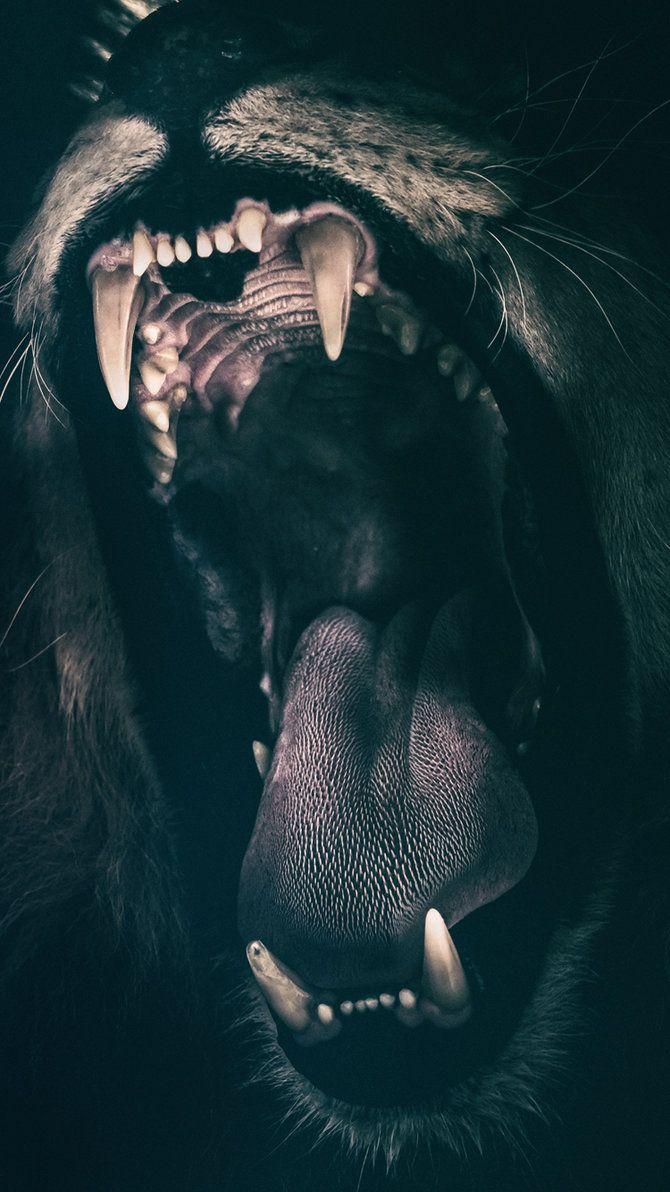 670x1192 Lion Roaring Iphone 8 Wallpaper