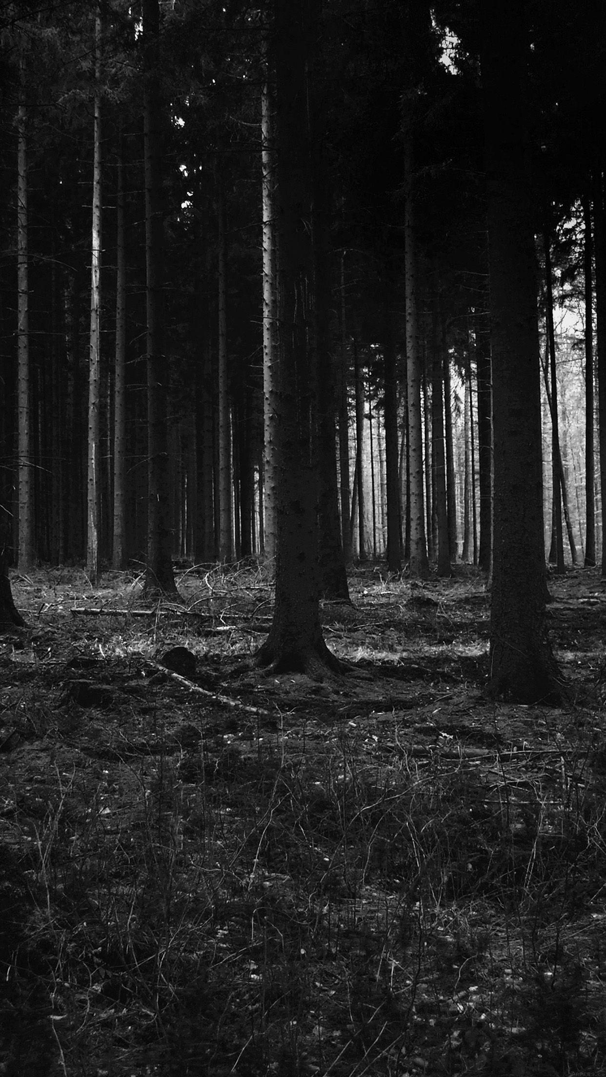 1242x2208 Forest Dark Scary Night Trees Nature
