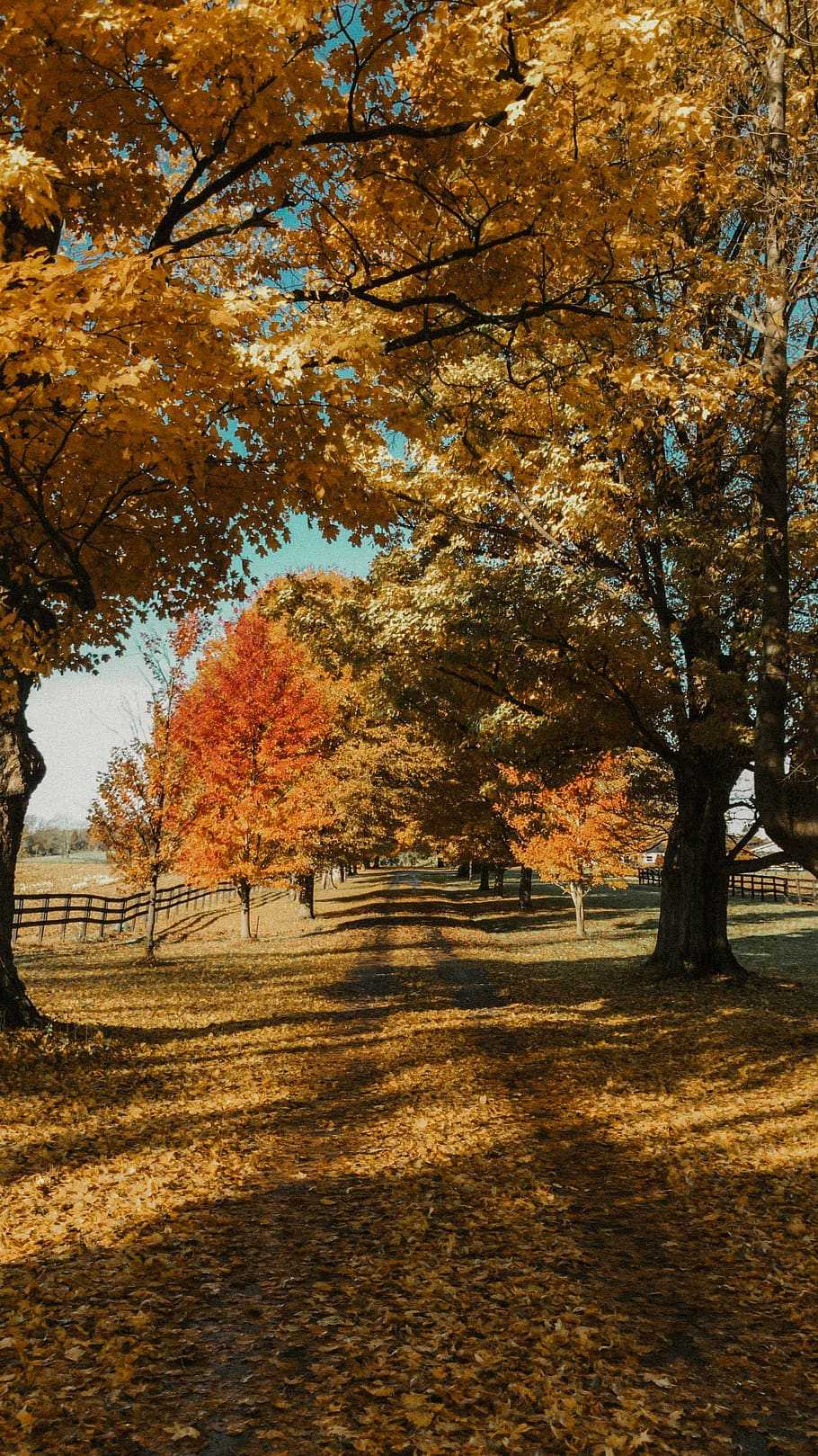 910x1619 Country Wallpaper Free HD Wallpaper