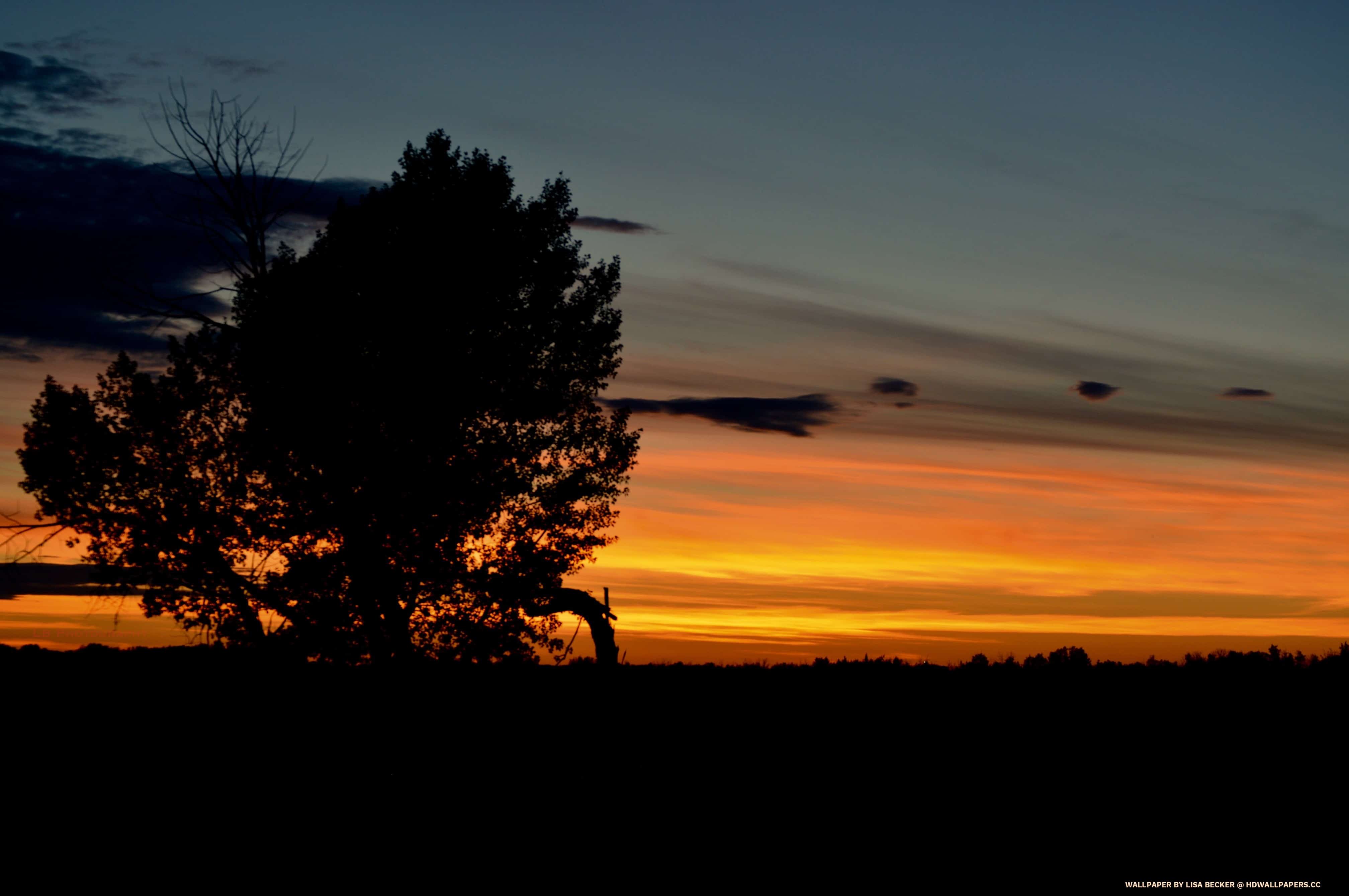 4032x2679 Sunset in the country