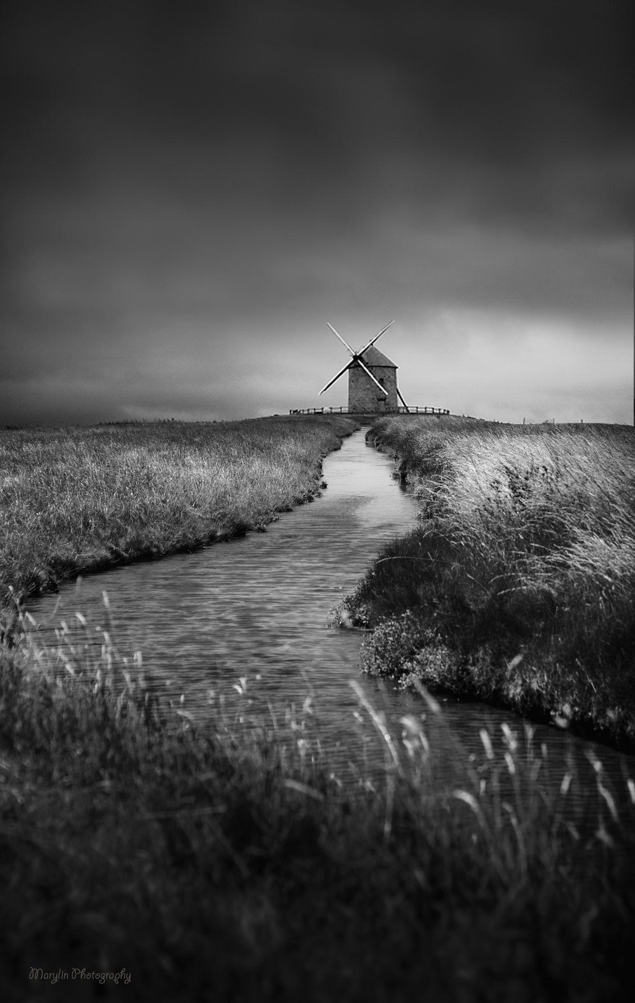 1297x2048 Mono Black & White Photography