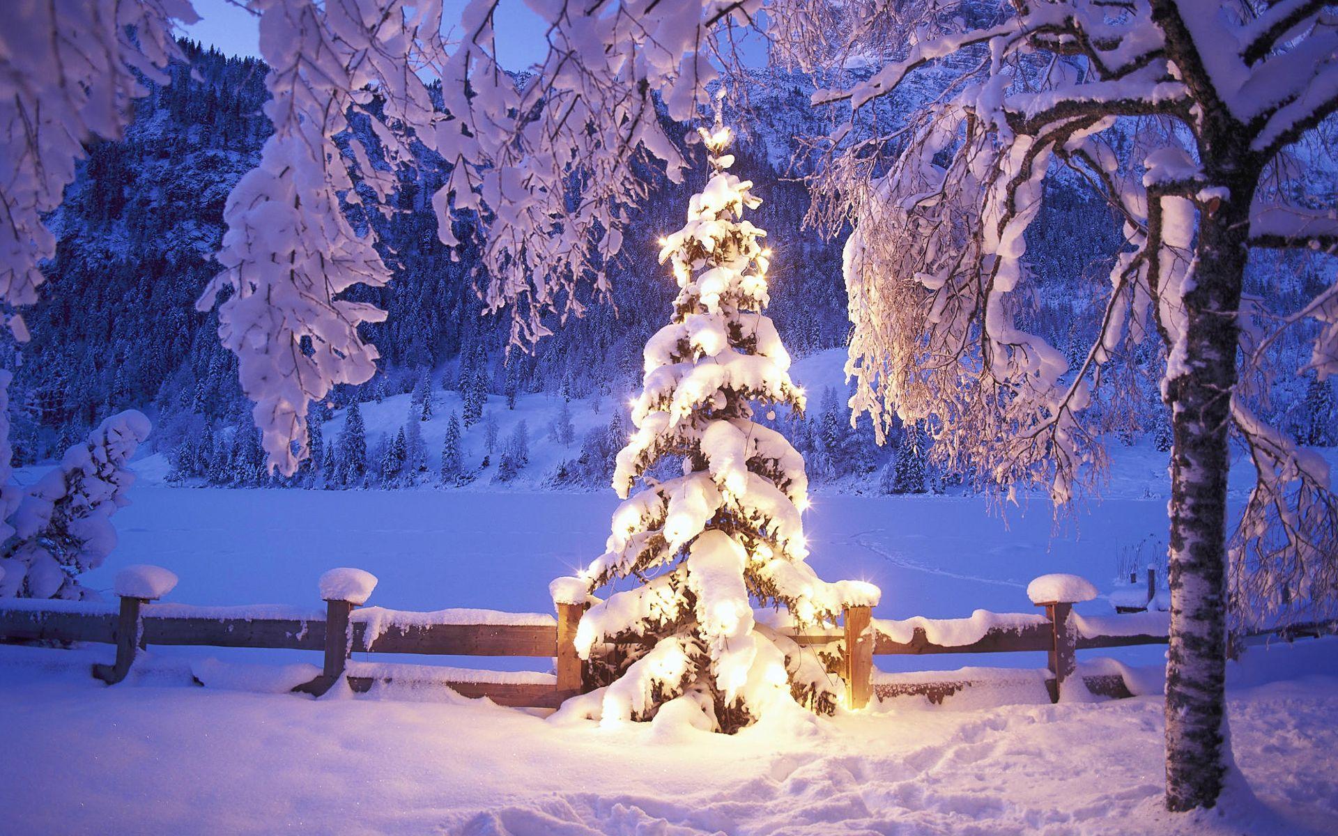 Forest Christmas Wallpapers - Top Free ...