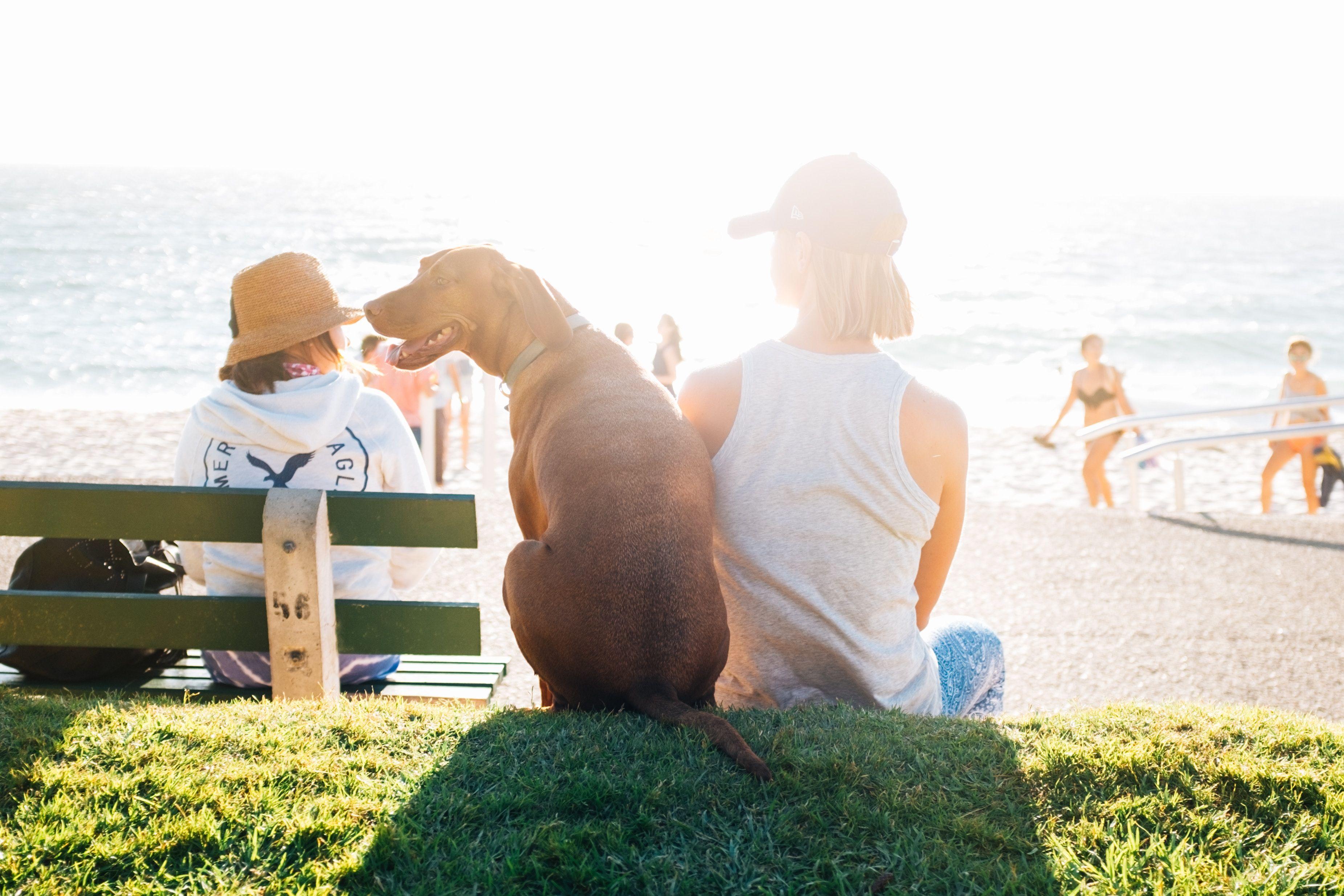 3703x2469 4000x2667 #hair, #chillling, #best friends forever, #girl, #ocean, #faceless, #sun, #sea, #happy, #lemonade, #best friend, #summer, #friend, #cute, #Free image, #beach, #back, #bright, #sunshine