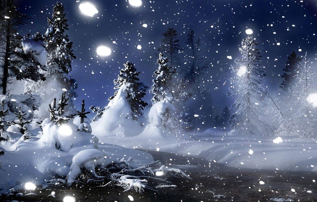 1332x850 Wallpaper winter, snow, night, Forest, Christmas trees image for desktop, section природа