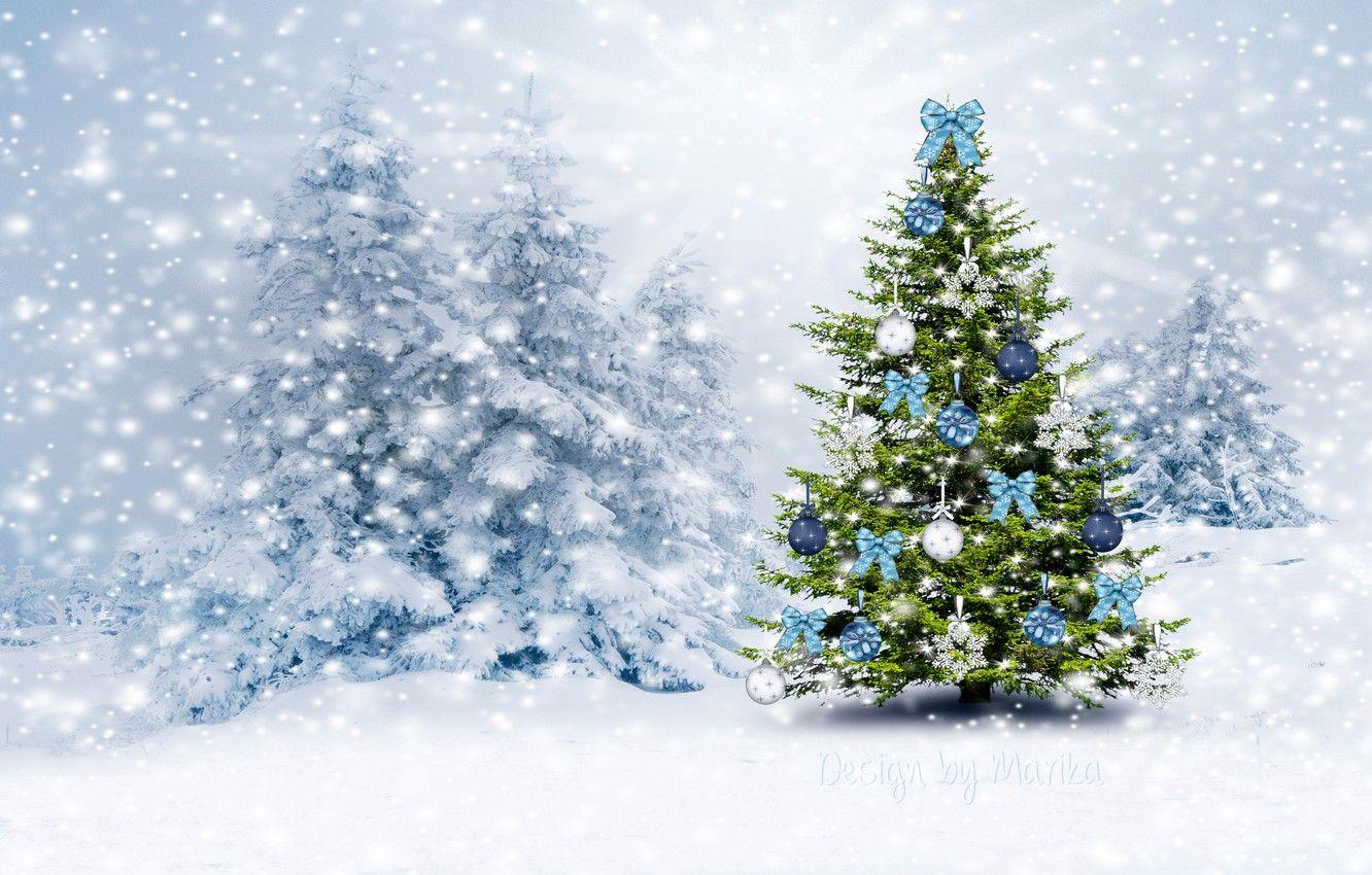1332x850 Wallpaper winter, forest, snow, tree, Christmas, New year, forest, Christmas, winter, snow, tree, Design by Marika image for desktop, section новый год