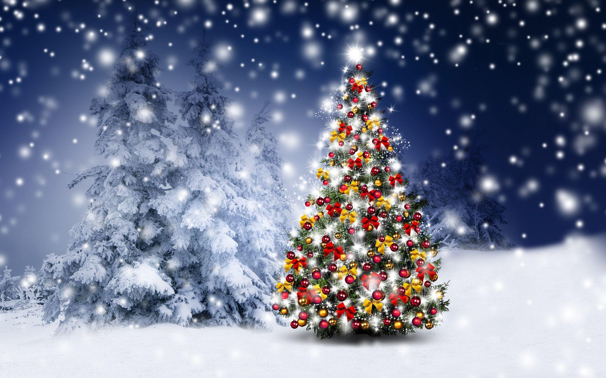 2048x1280 Pin By Amanda Langley On Wallpaper Background <3. Merry Christmas Wallpaper, Christmas Weather, Christmas Tree Wallpaper