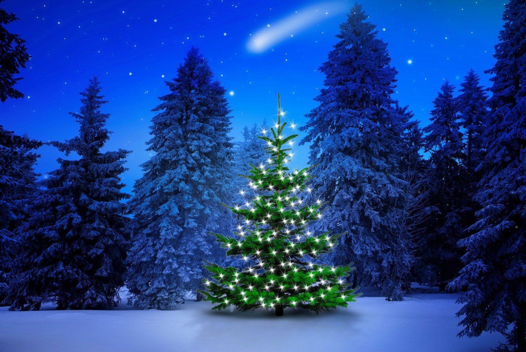 1686x1127 Lighted Tree in Winter Forest Computer Wallpaper, Desktop. Winter wallpaper desktop, Christmas tree wallpaper, Tree wallpaper phone
