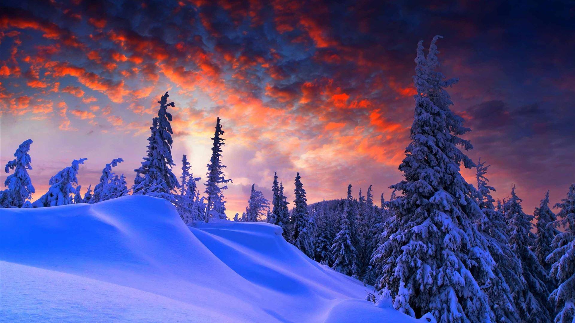 1920x1080 Winter Christmas Mac Wallpaper Download